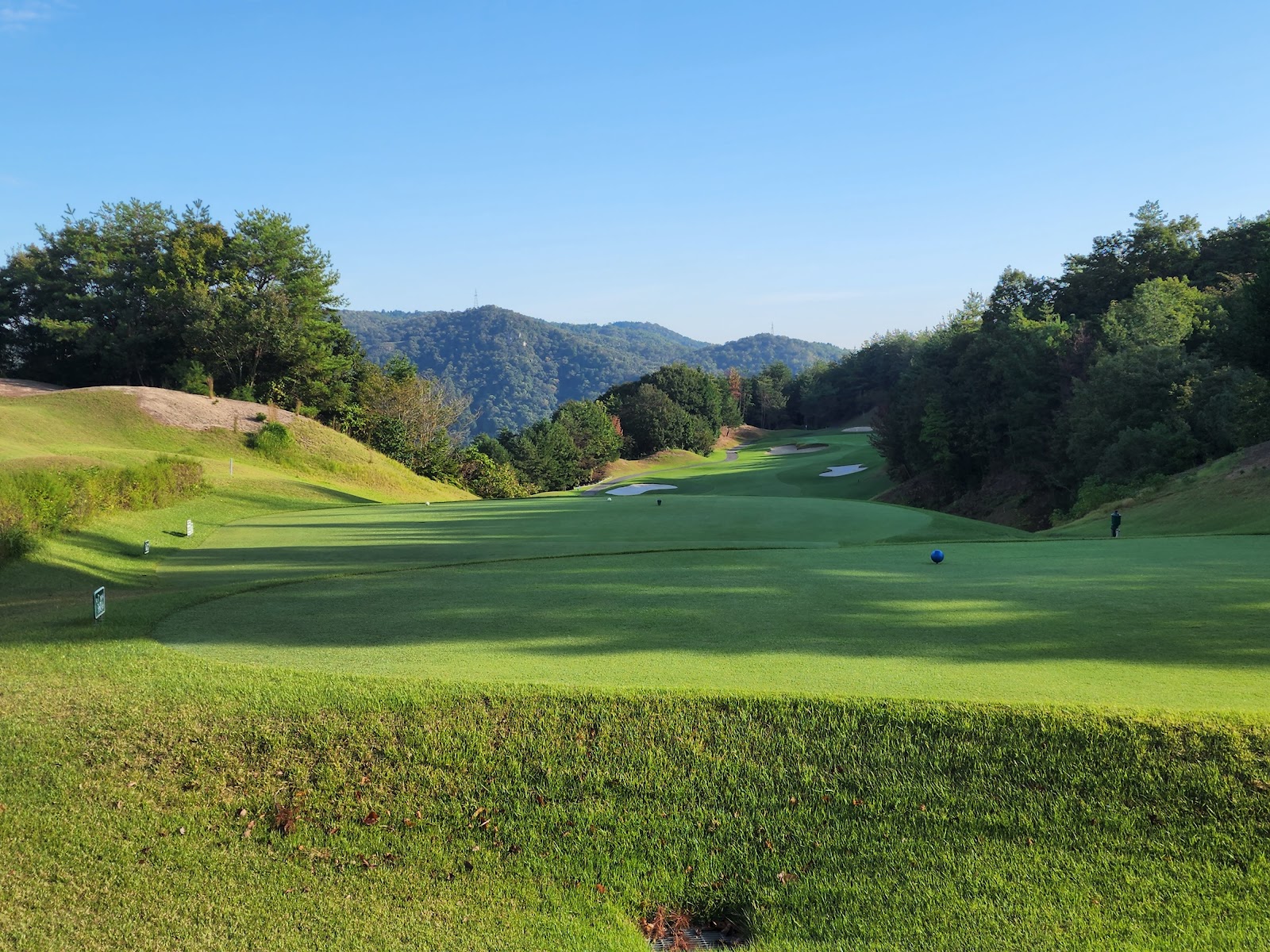 Forest Hills Golf & Resort