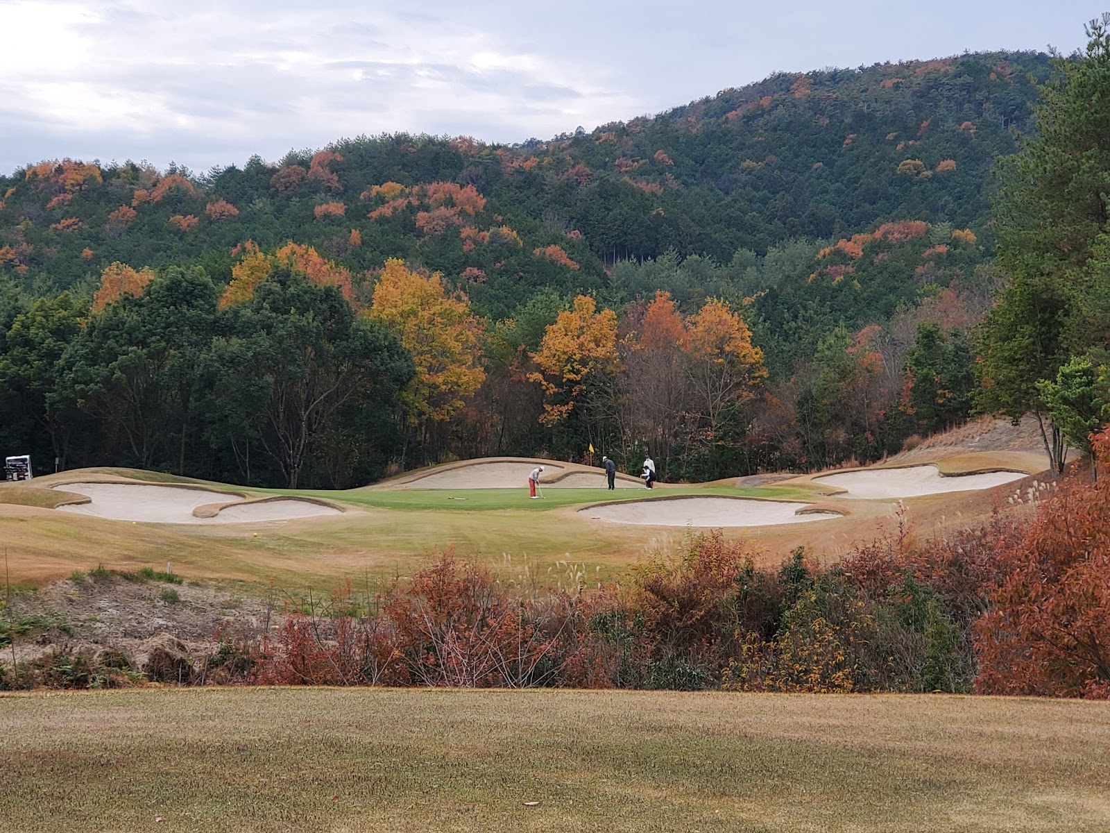 Forest Hills Golf & Resort - 5