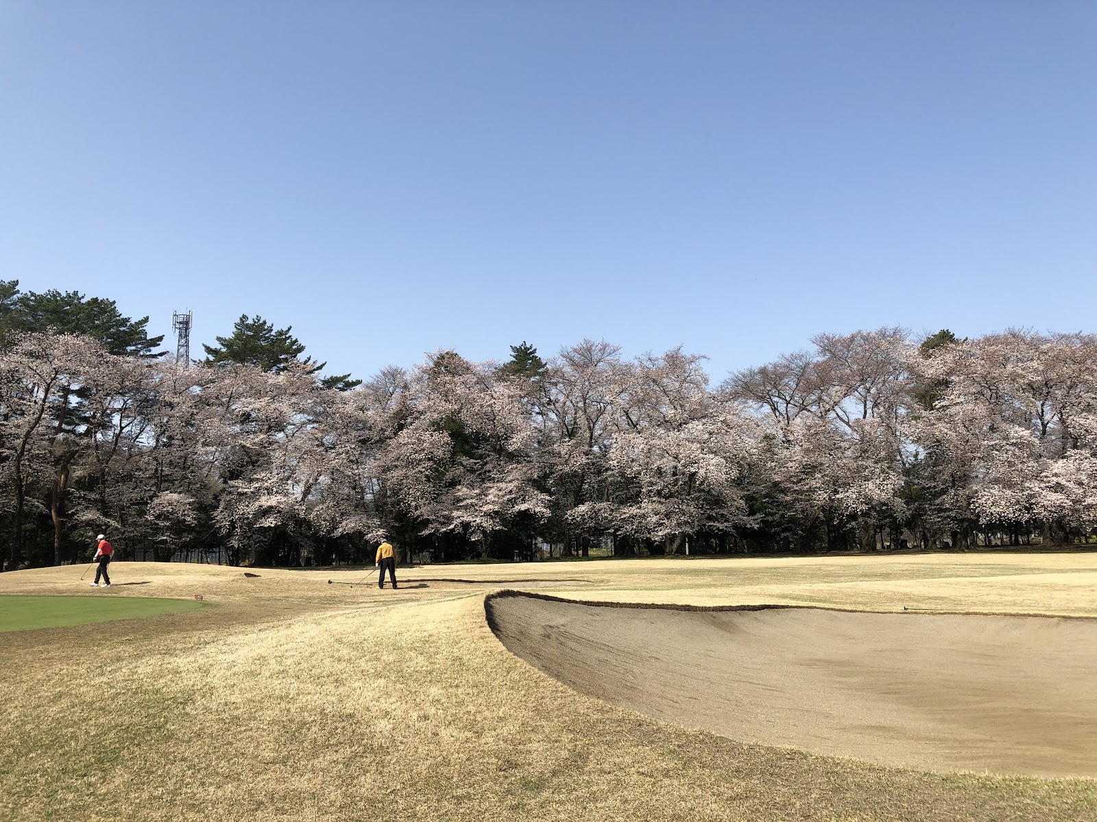 Omiya Golf Course - 6