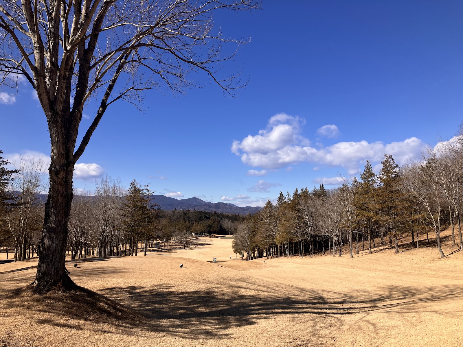 Hatoyama Country Club - 5