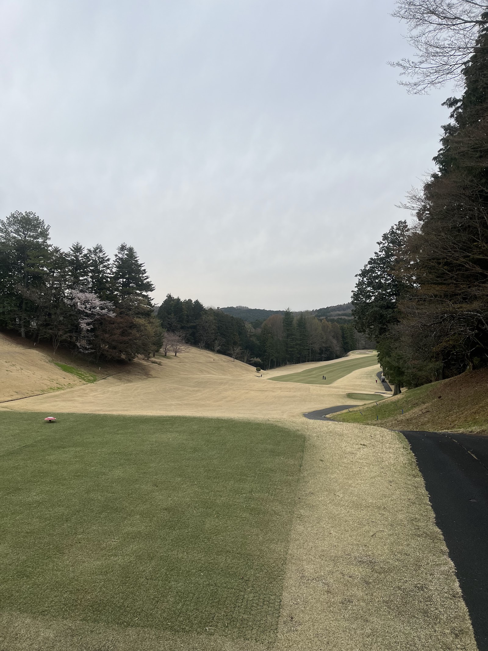 Nippon Country Club - 6