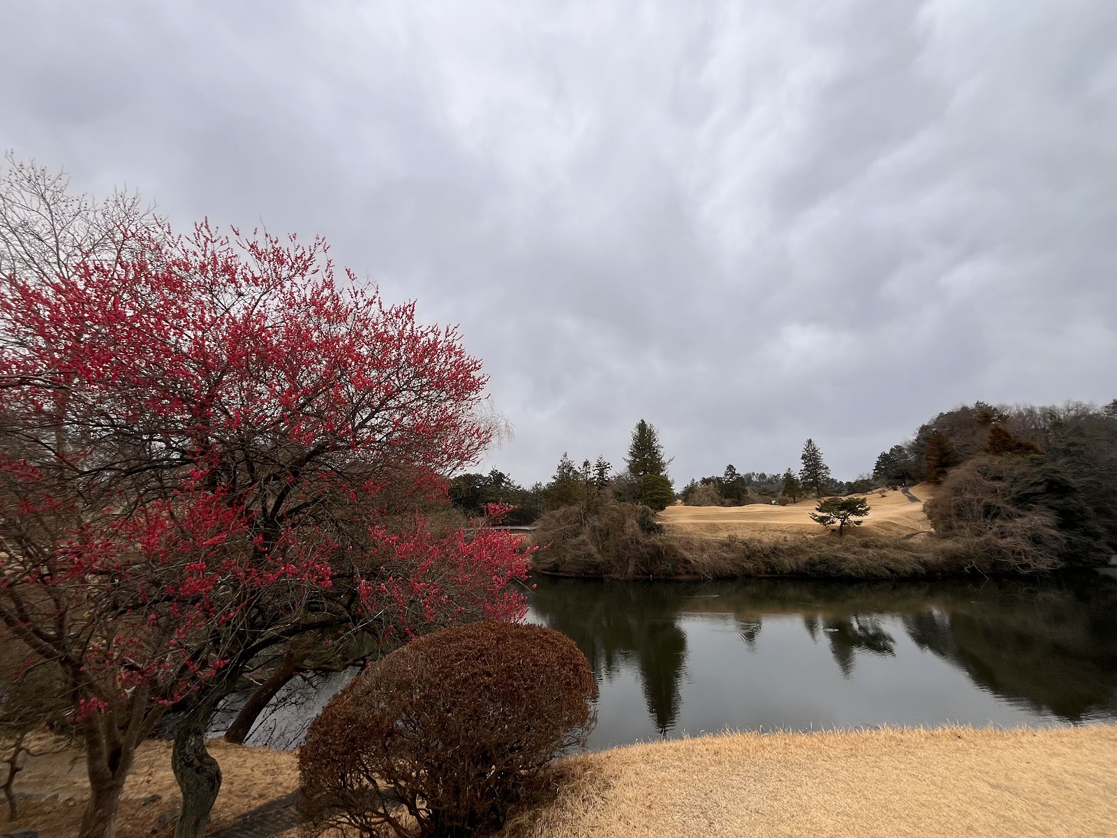 Ogawa Country Club - 5
