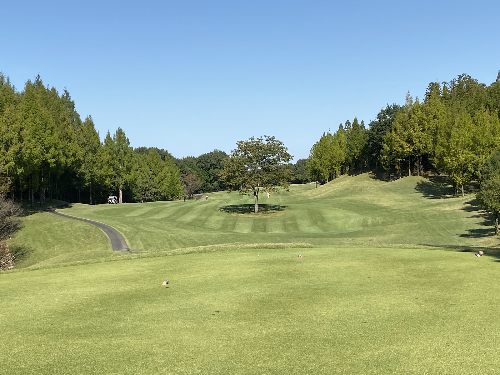 Heisei Club Hachigata Castle Course