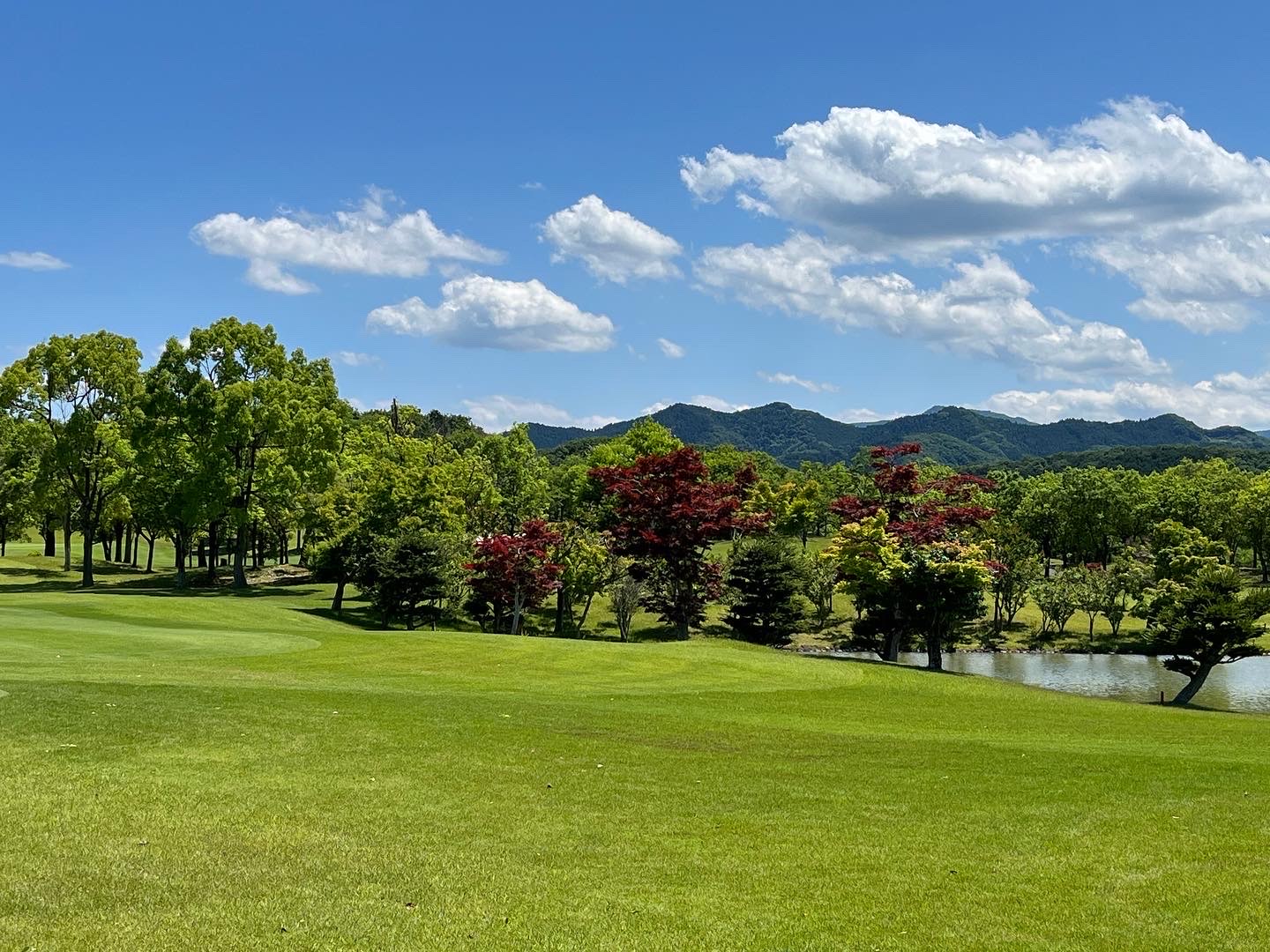 Heisei Club Hachigata Castle Course - 3