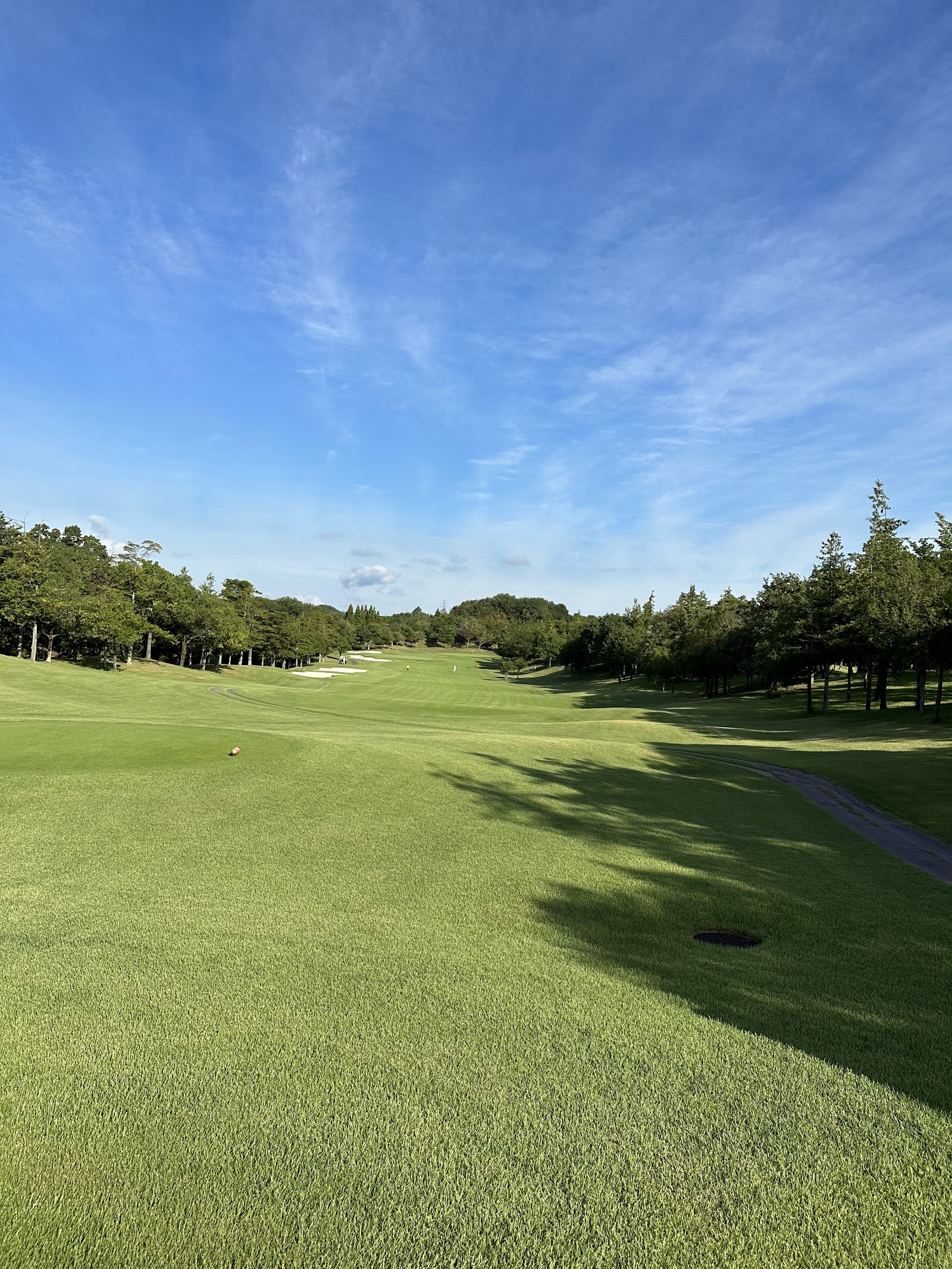 Shinrin Koen Golf Club