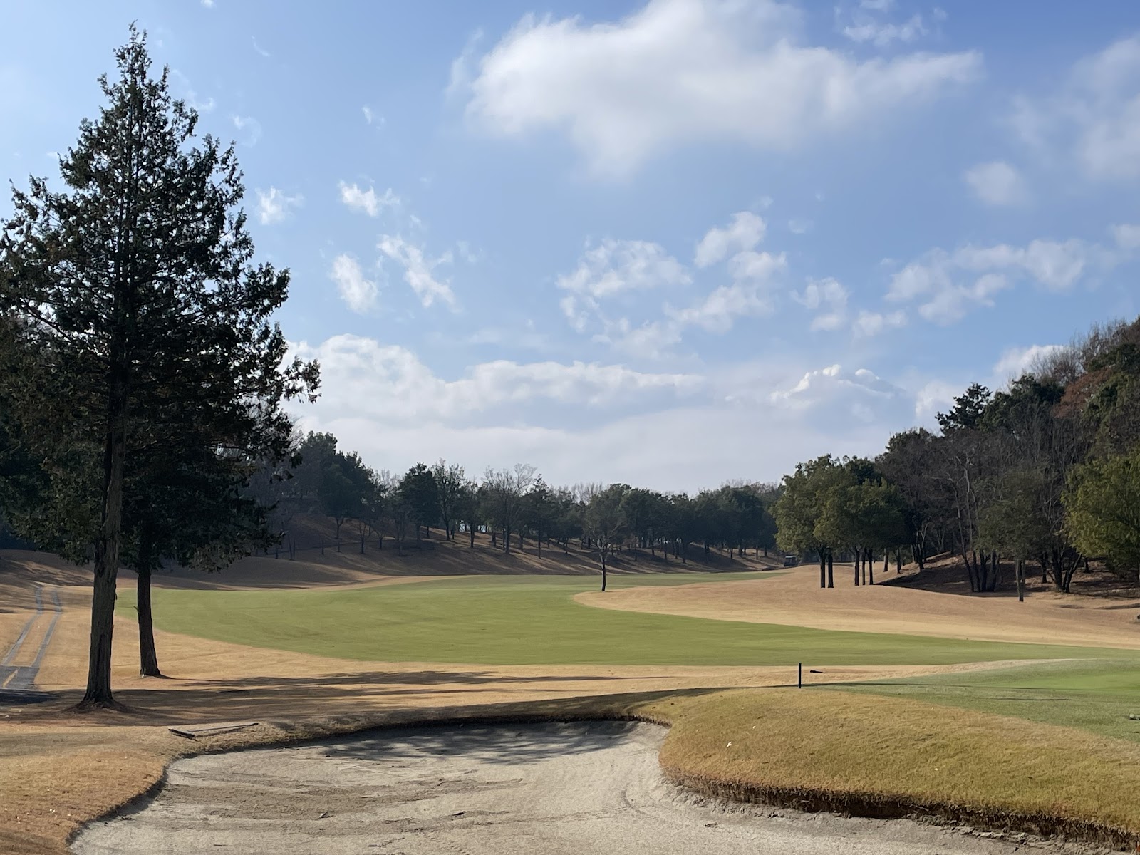 Shinrin Koen Golf Club - 2
