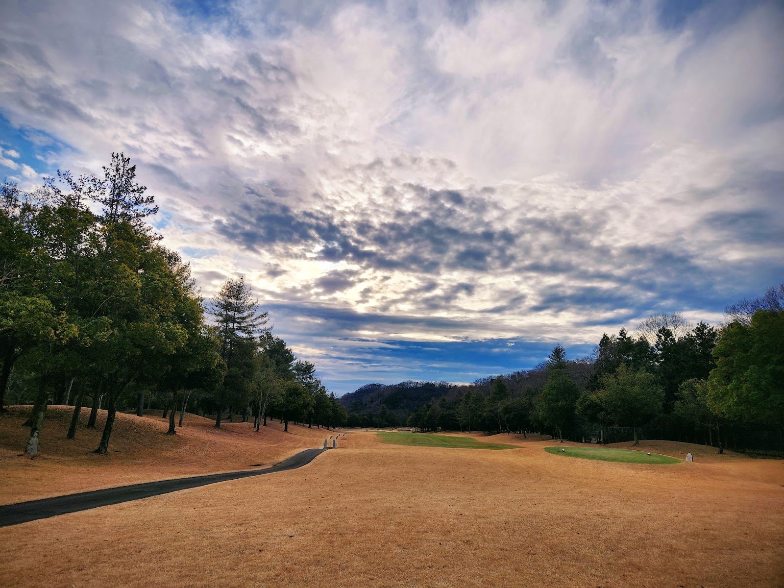 Shinrin Koen Golf Club - 4