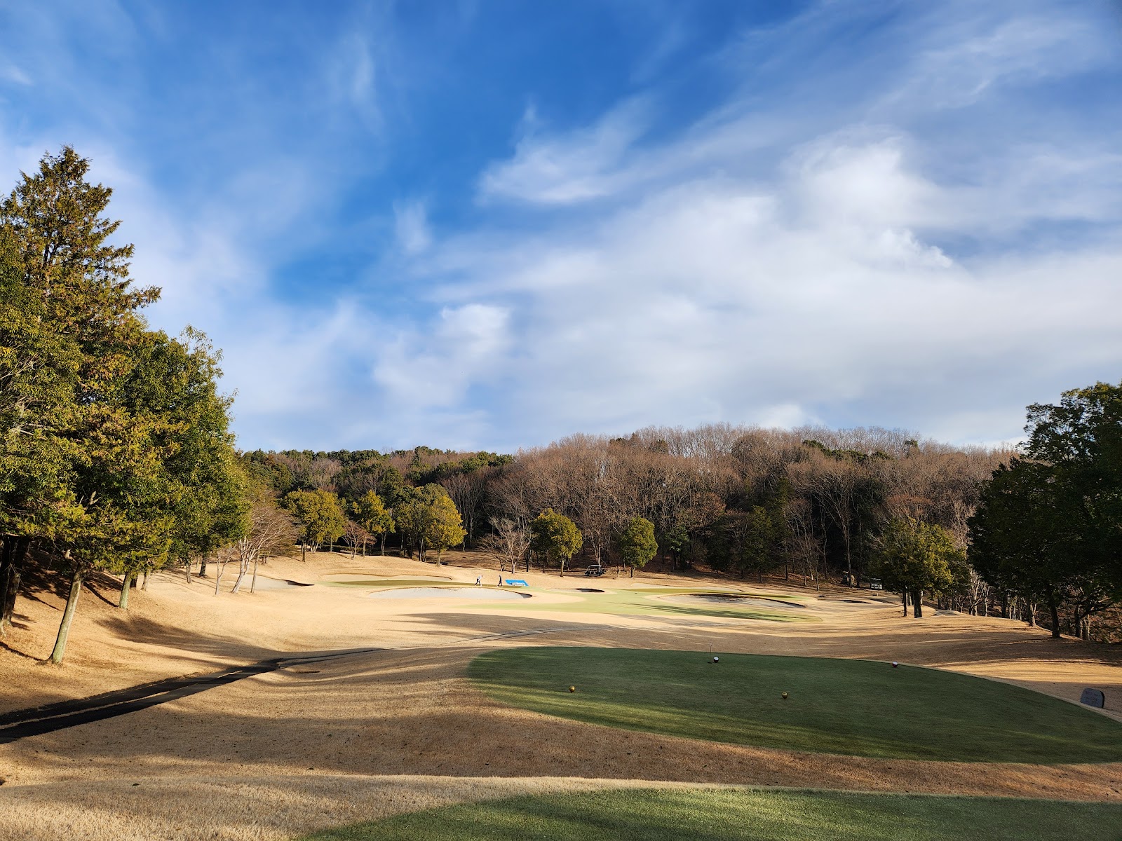 Shinrin Koen Golf Club - 6