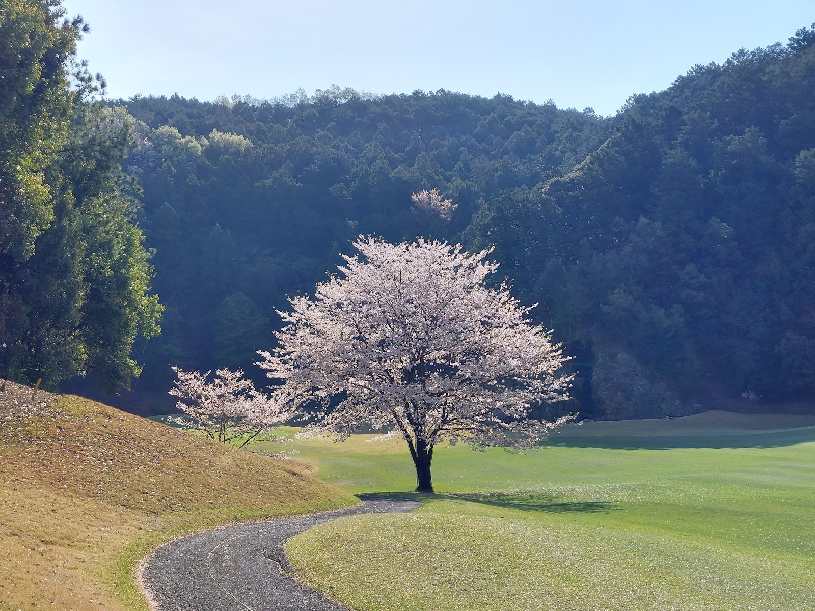 Saitama Royal Golf Club Ogose Course - 4