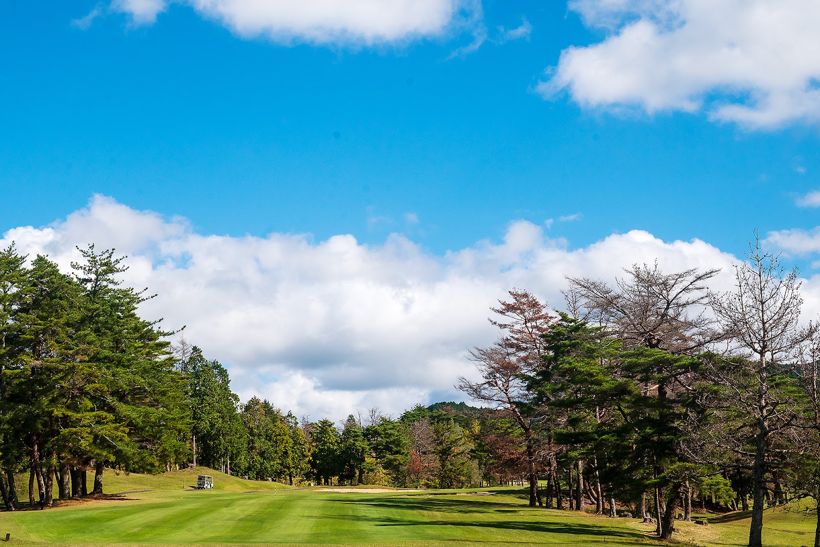 Daikoka Country Club Aburahi Course - 5