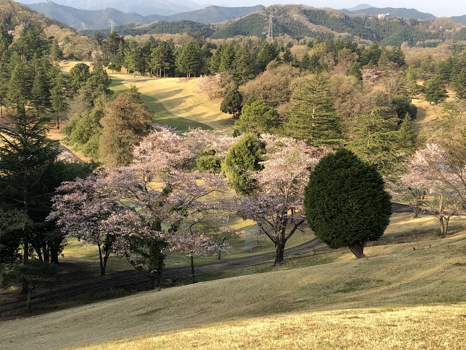 Yorii Country Club - 5