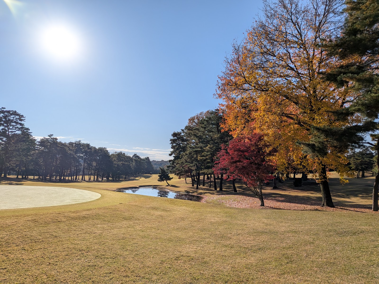 Ranzan Country Club - 4