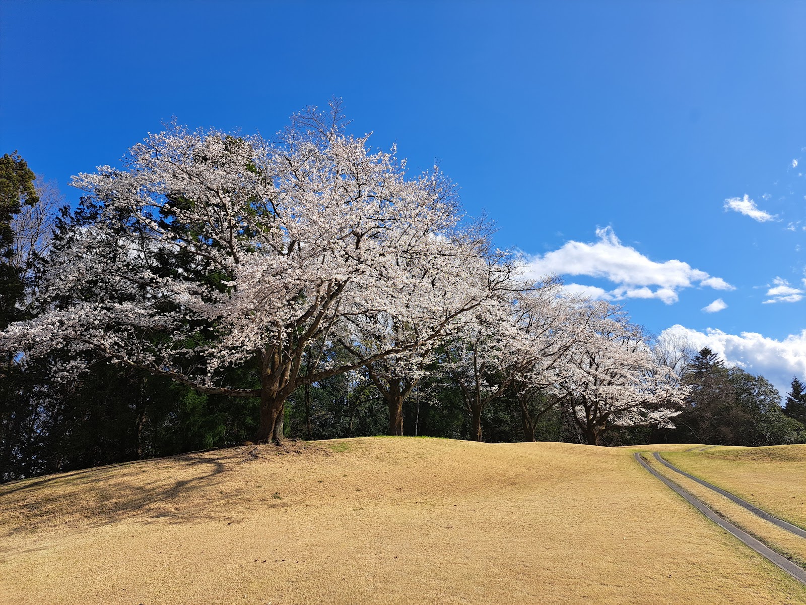 Iruma Country Club - 5