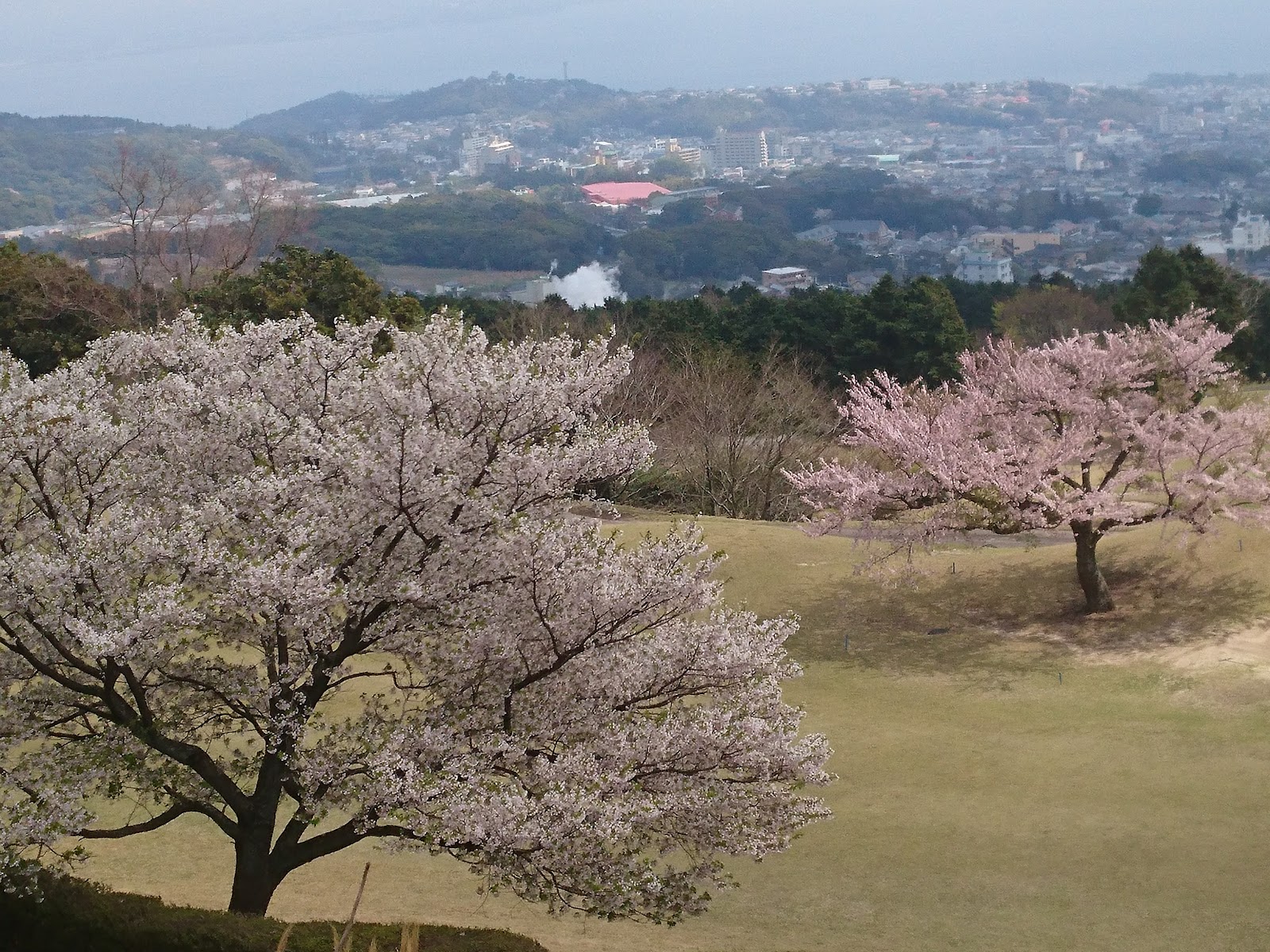 Beppu Ougizan Golf Club - 5