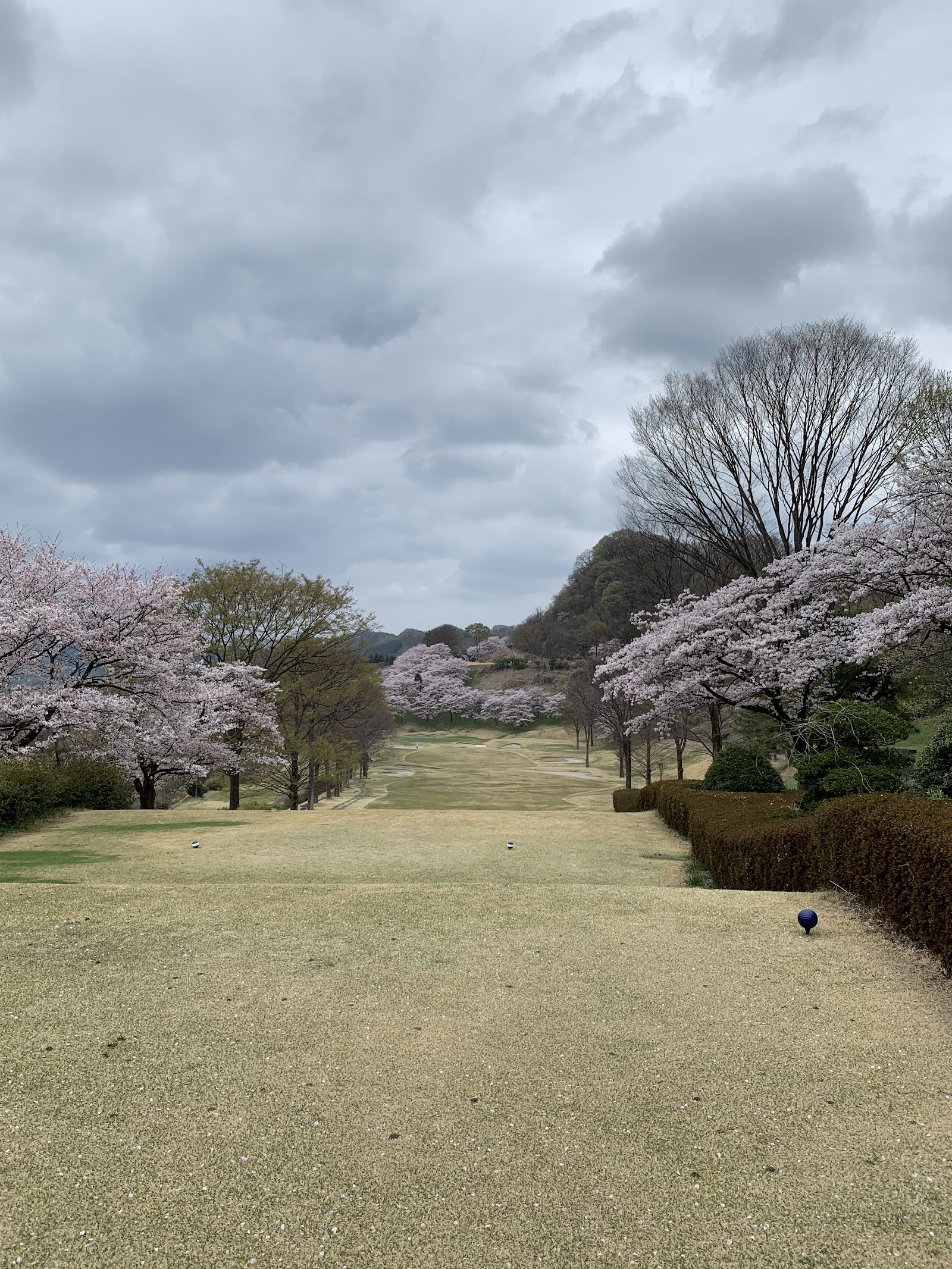 Shimo-Akima Country Club - 4