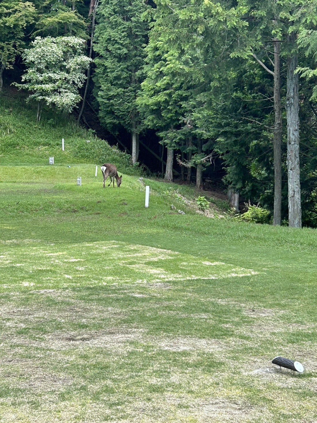 Ibaraki Kogen Country Club - 5