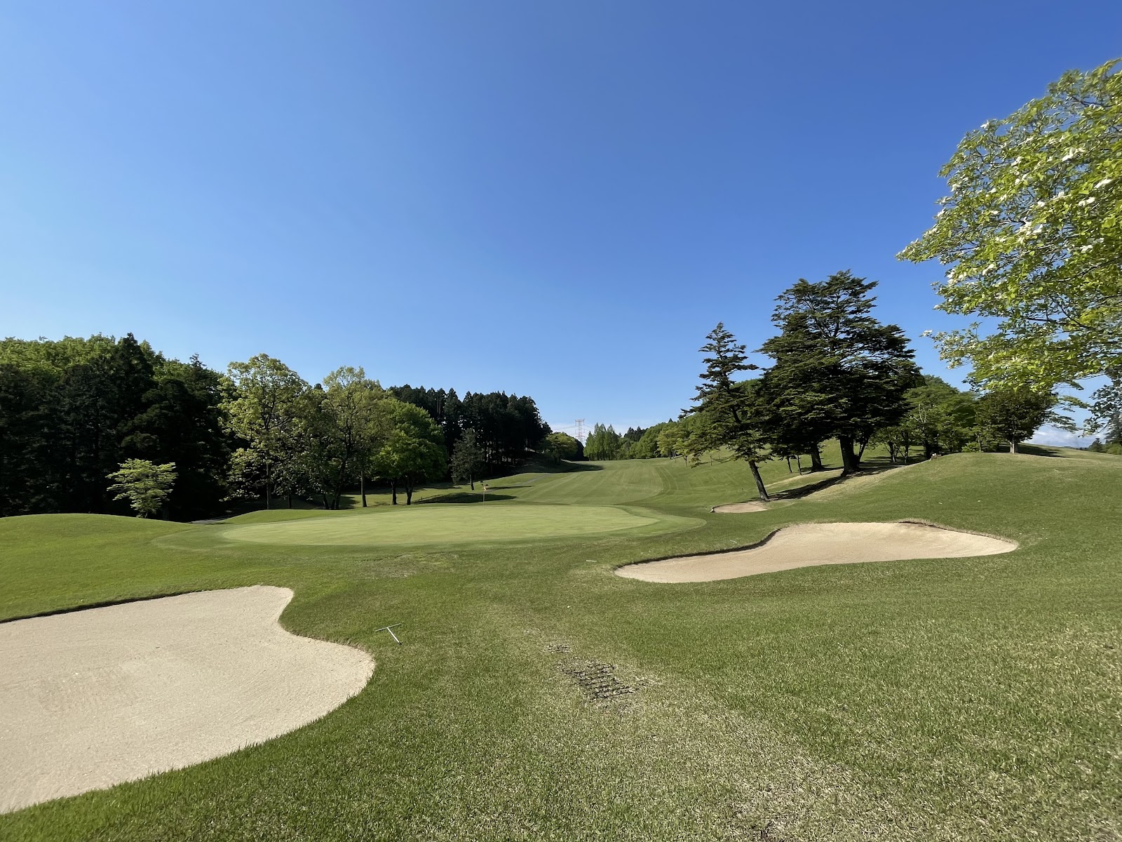 Arrow Ace Golf Club
