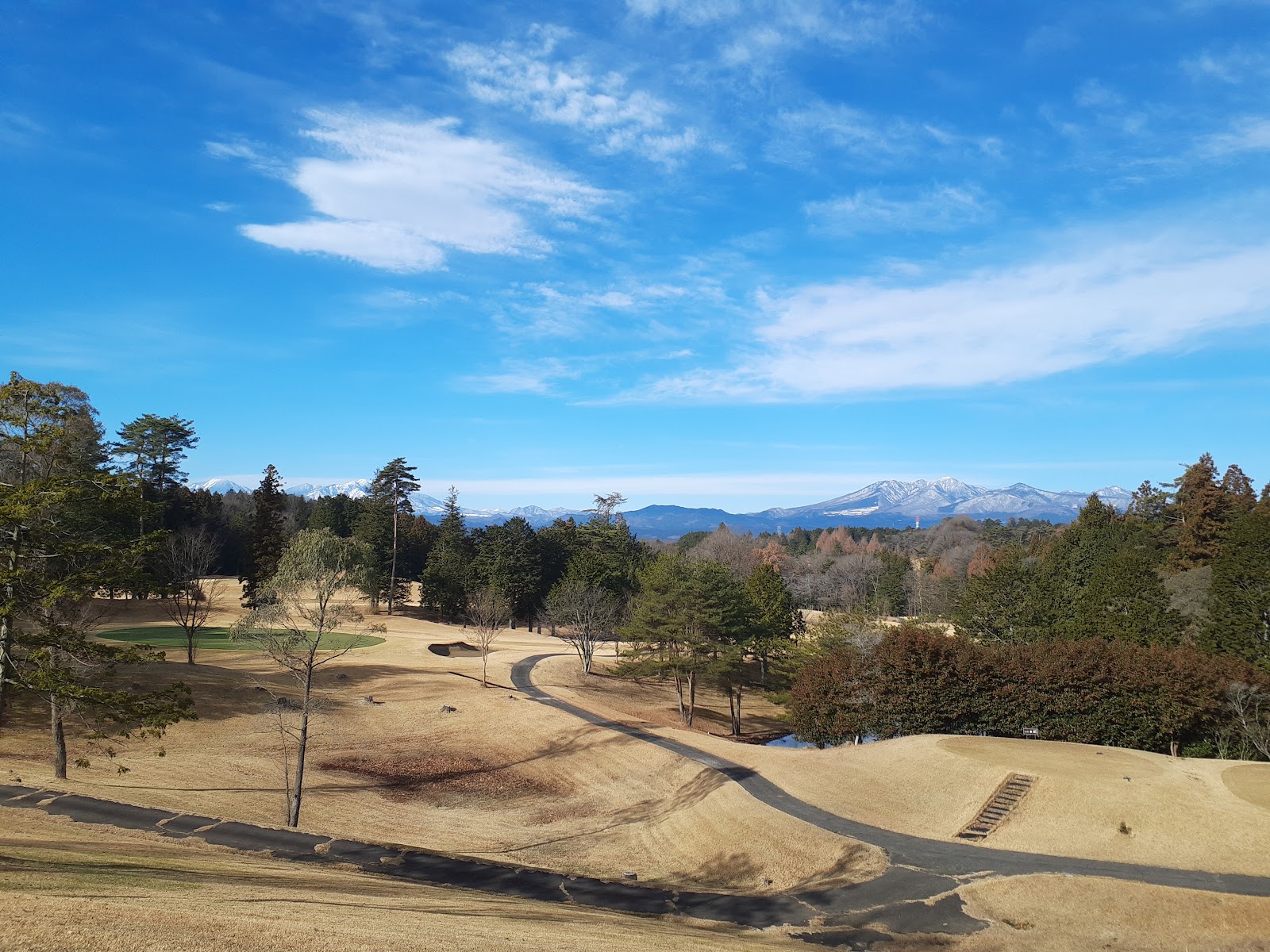 Arrow Ace Golf Club - 2
