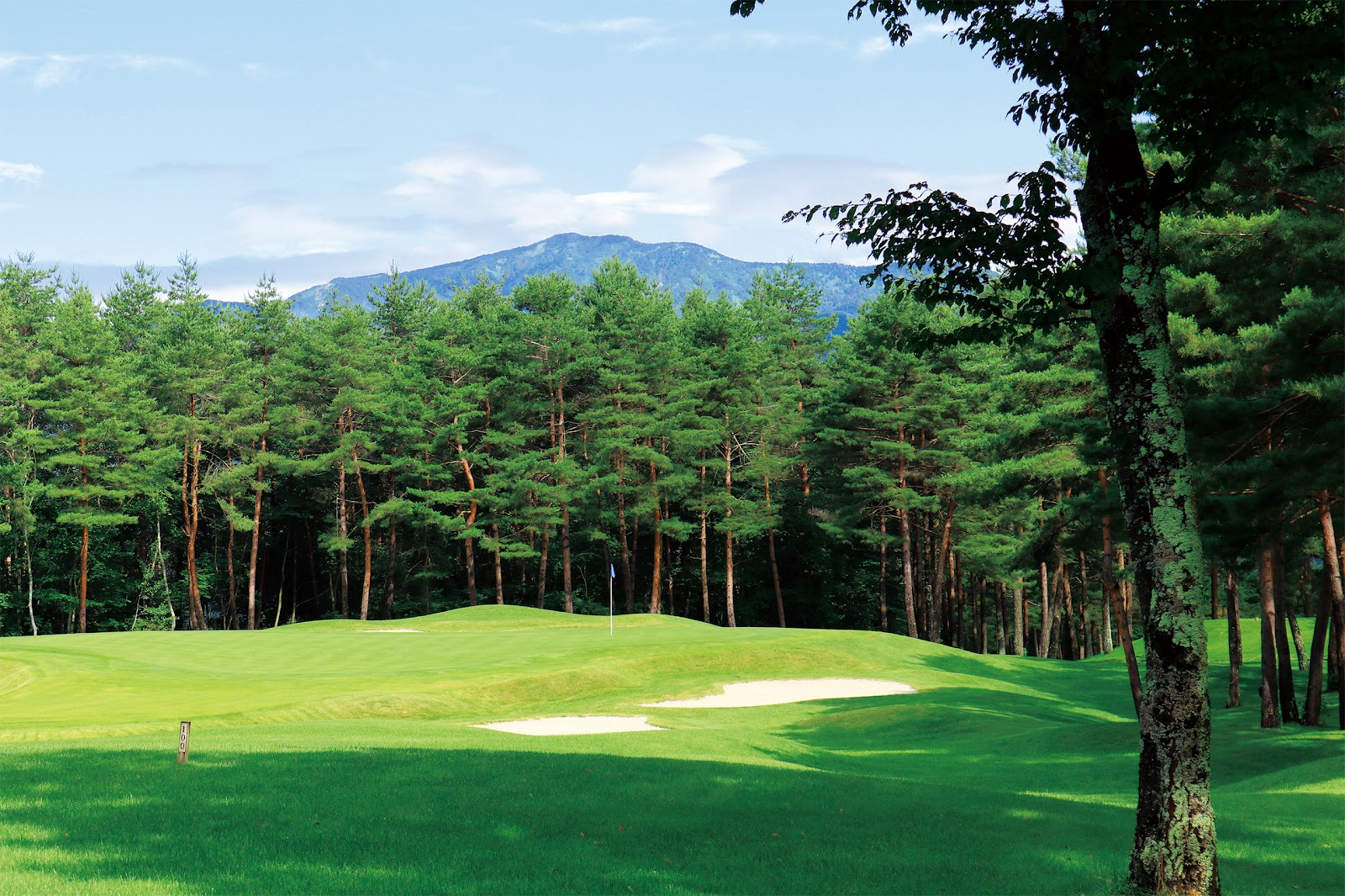 Palcall Tsumagoi Golf Club - 6