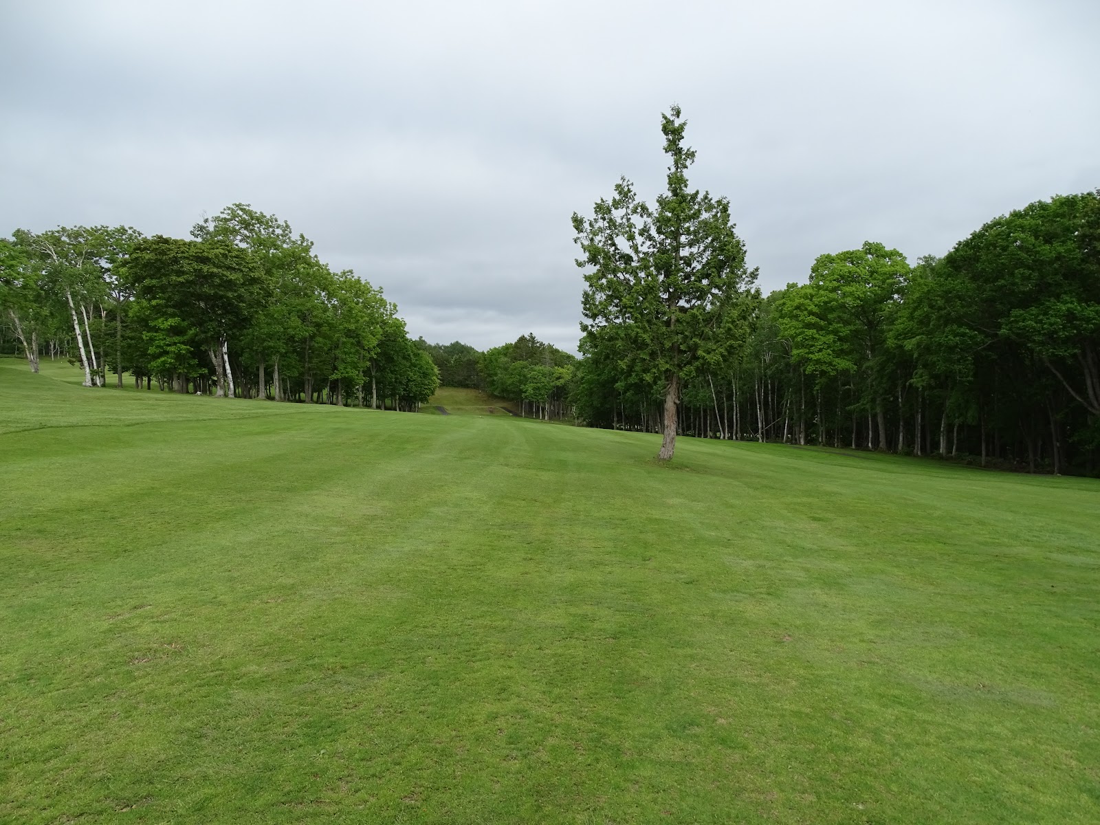 Iwamizawa Kijigamori Country Club - 2