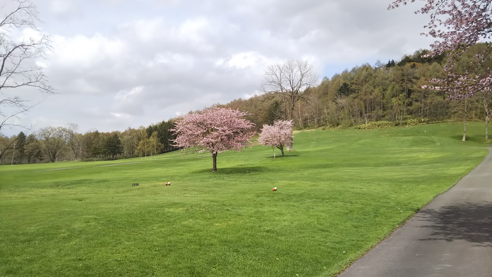 Iwamizawa Kijigamori Country Club - 6