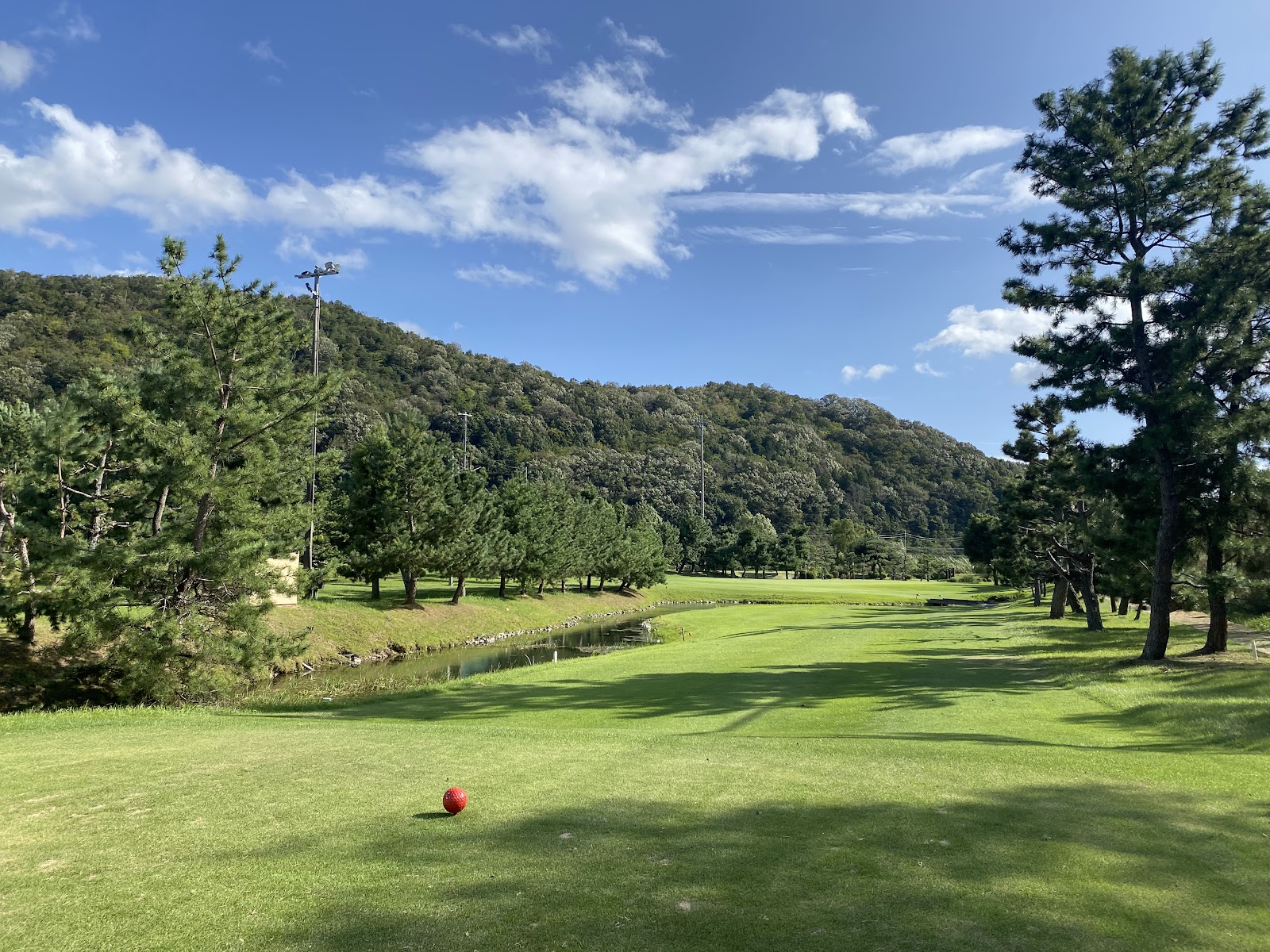 Ichikawa Golf - 2