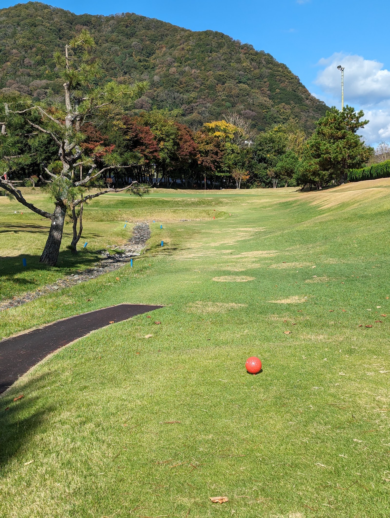 Ichikawa Golf - 3