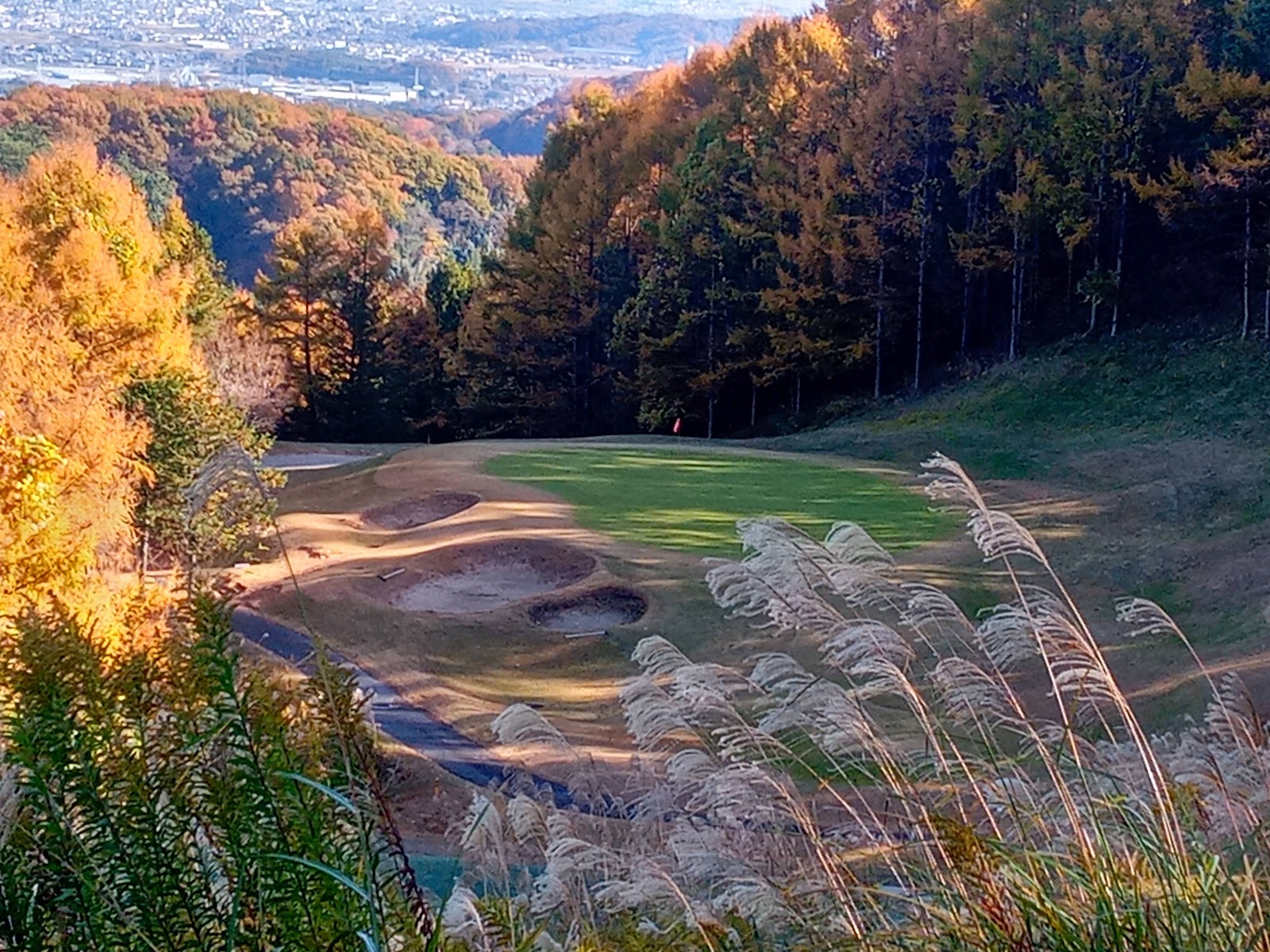 Green Park Country Club - 3