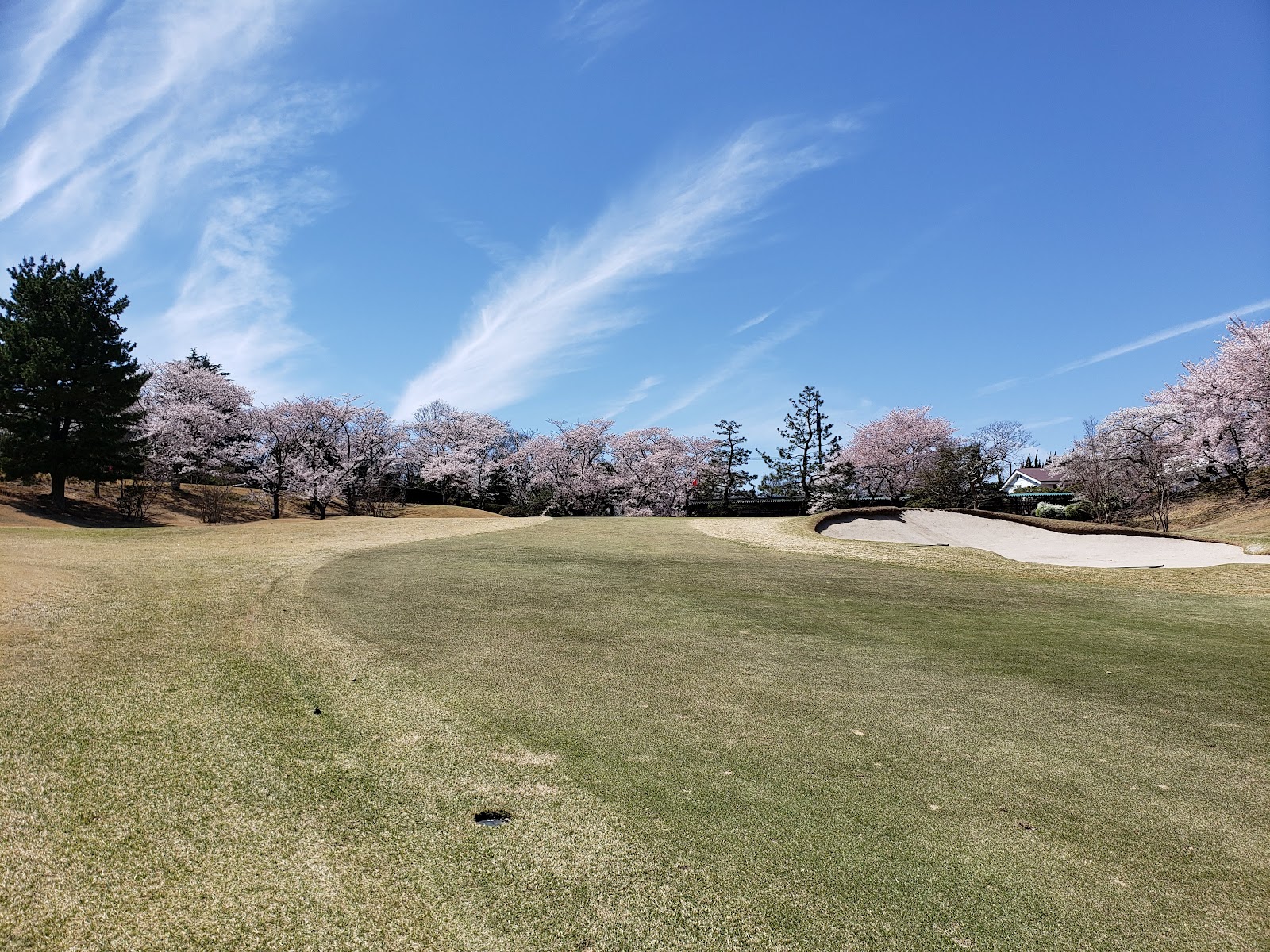 Katano Country Club - 3