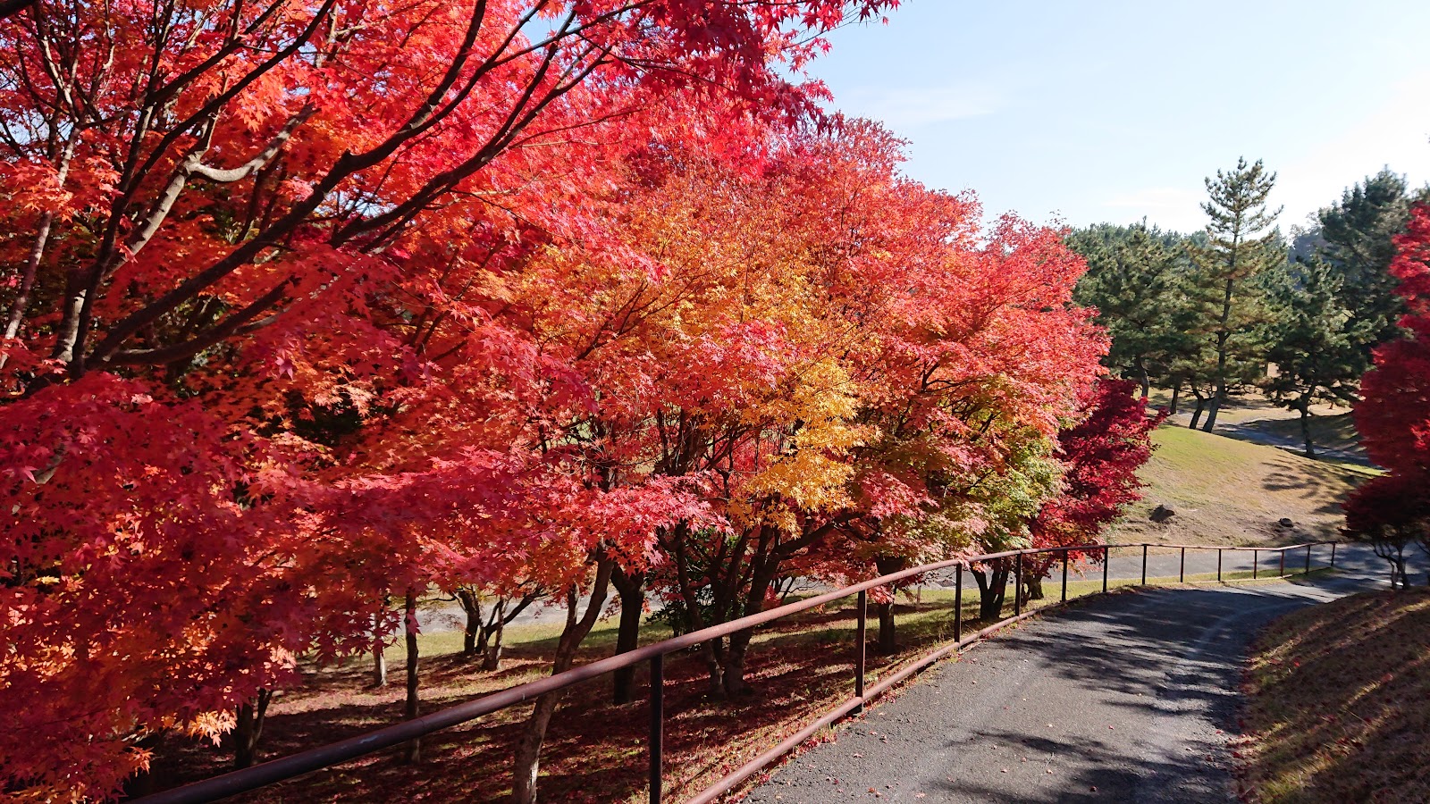 Katano Country Club - 5