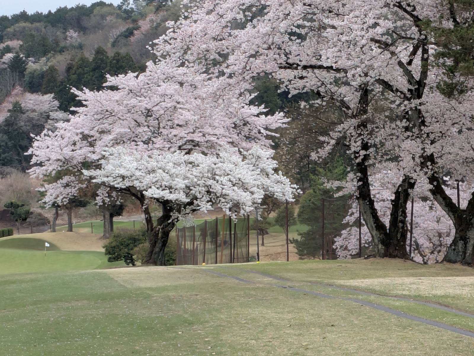 GMG Hachioji Golf Course - 3