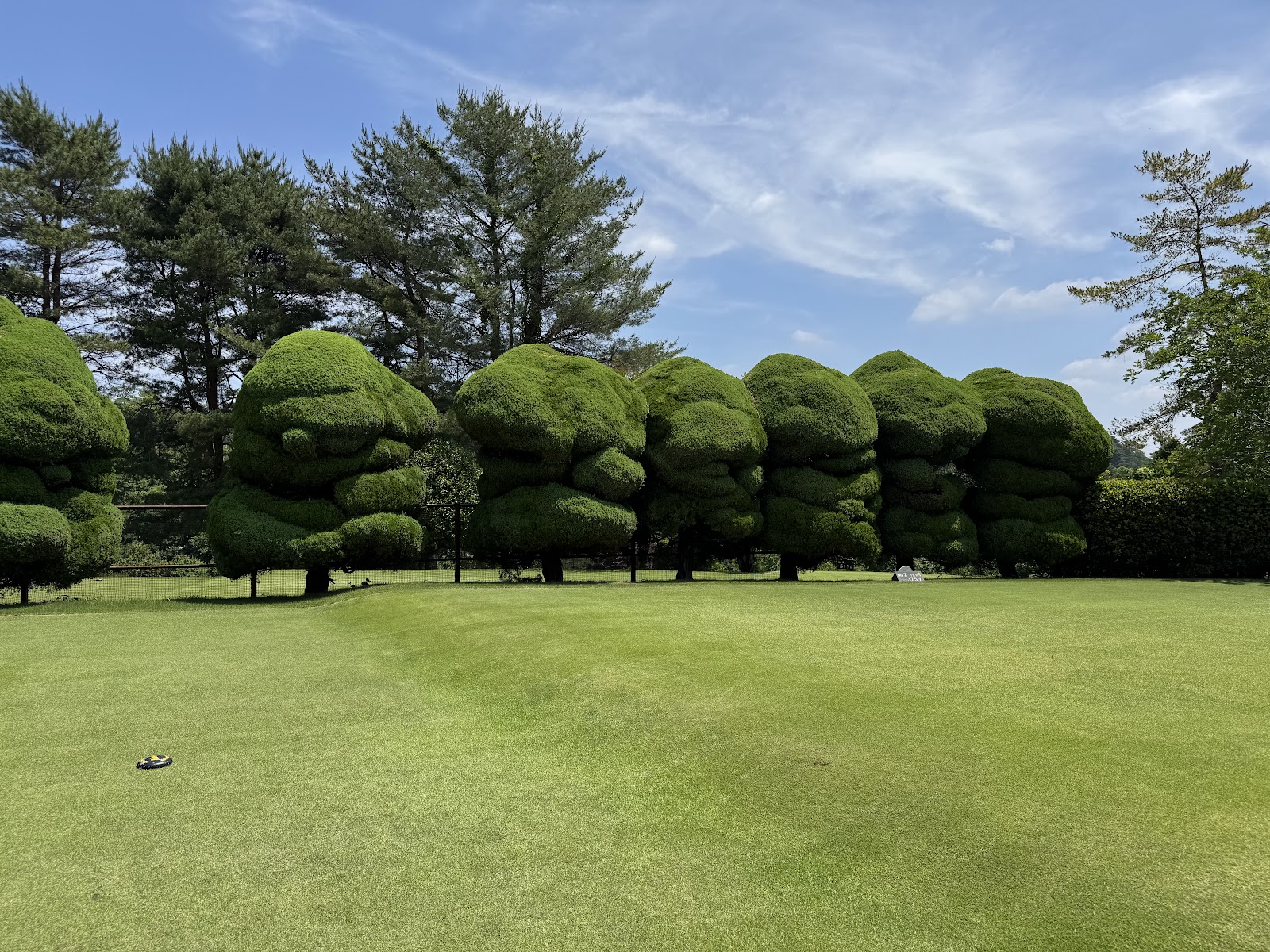Hachioji Country Club - 6