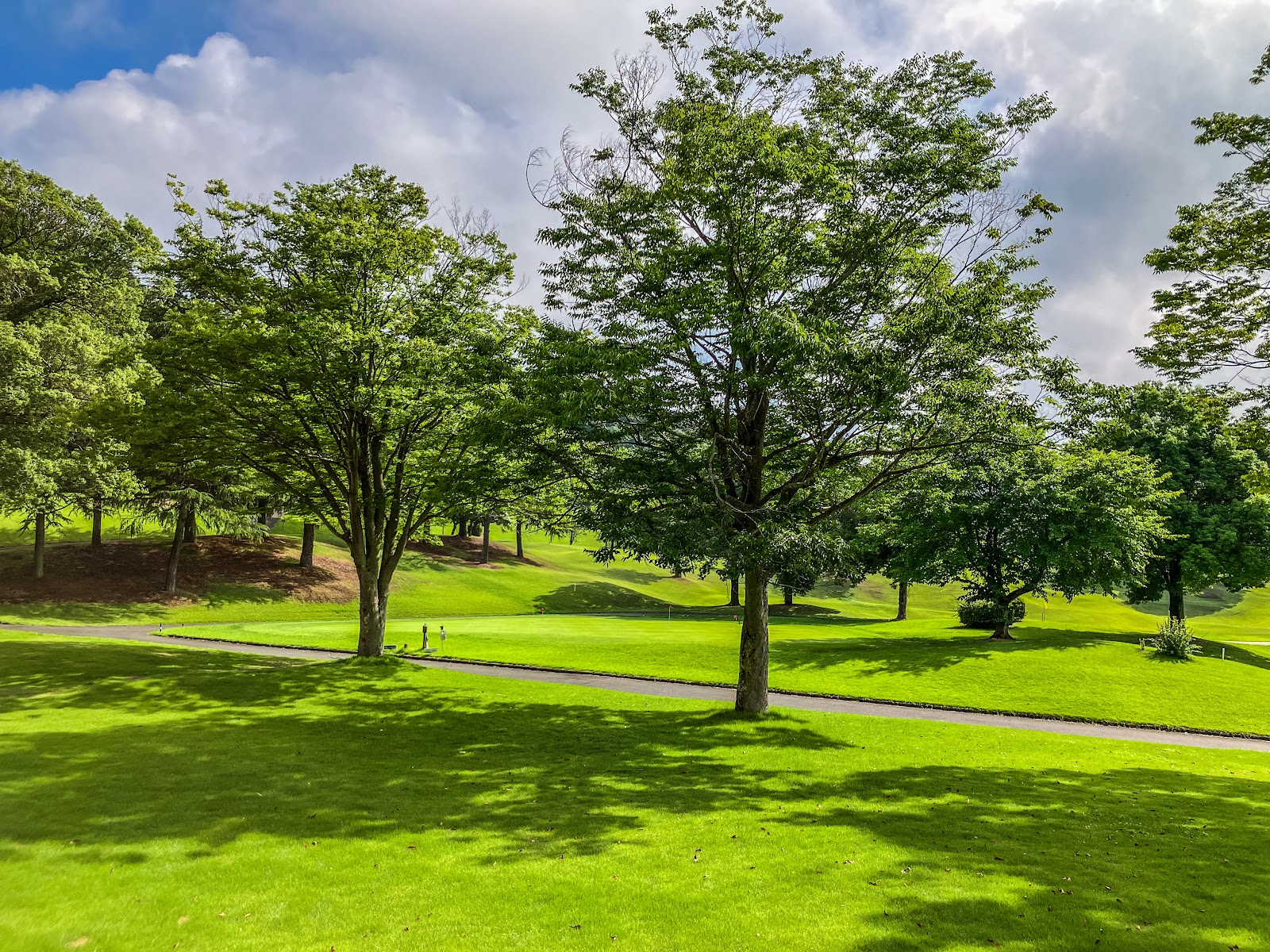 Spring Fields Golf Club - 2