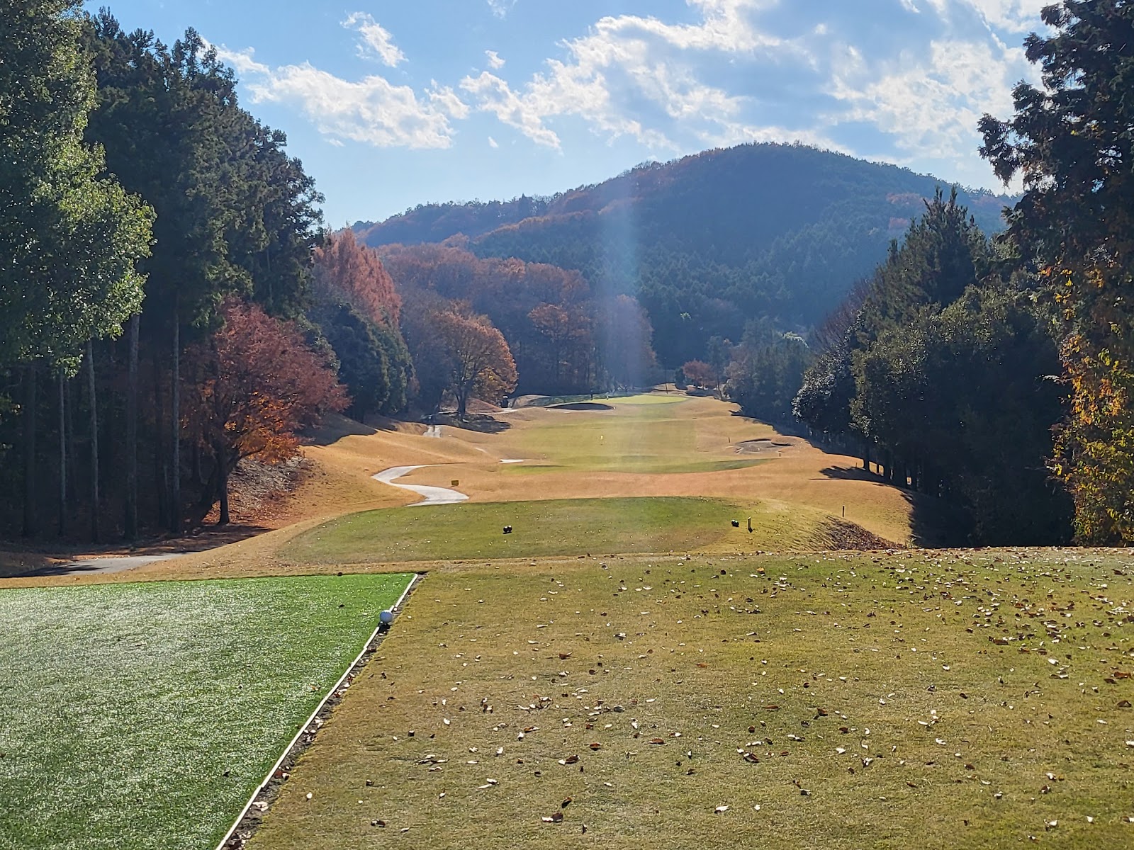 Adonis Ogawa country Club - 6