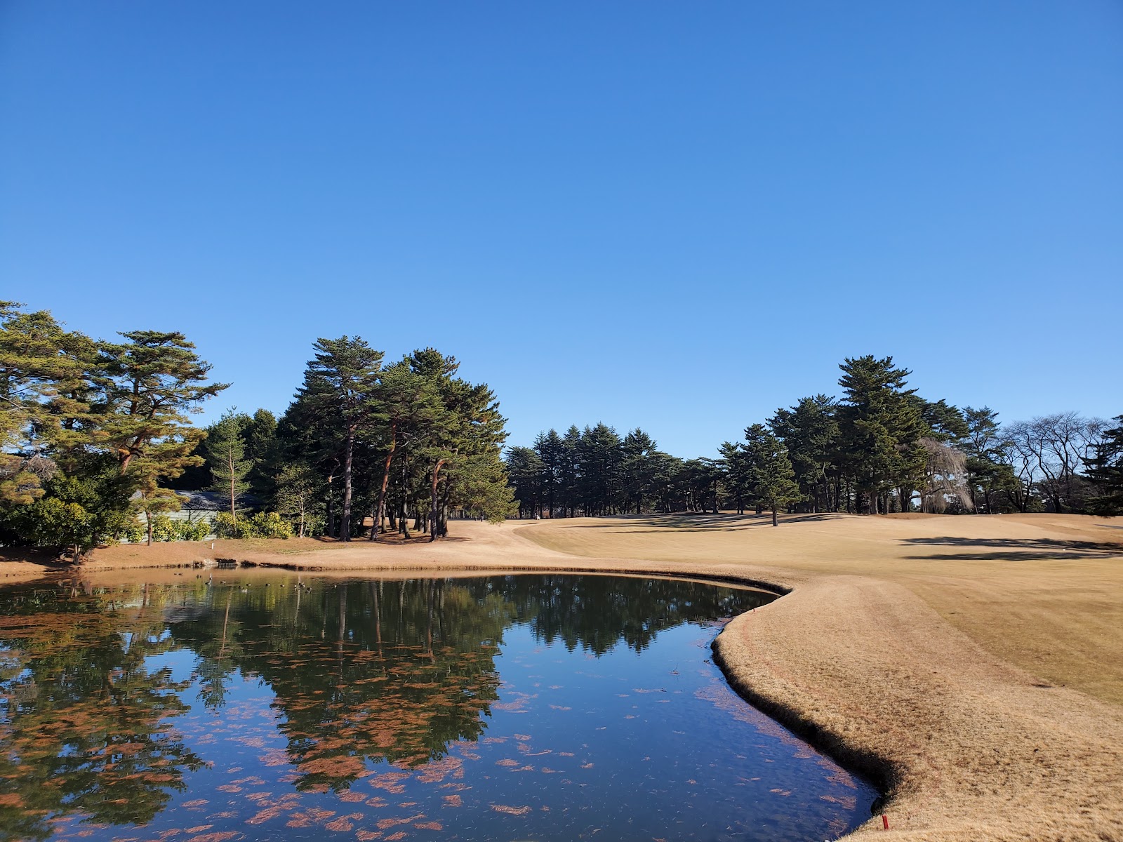 Kasumigaseki Country Club - 4