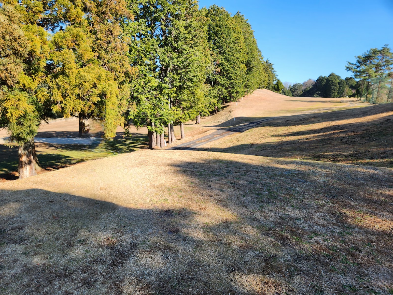 Nara Public Golf Course - 4