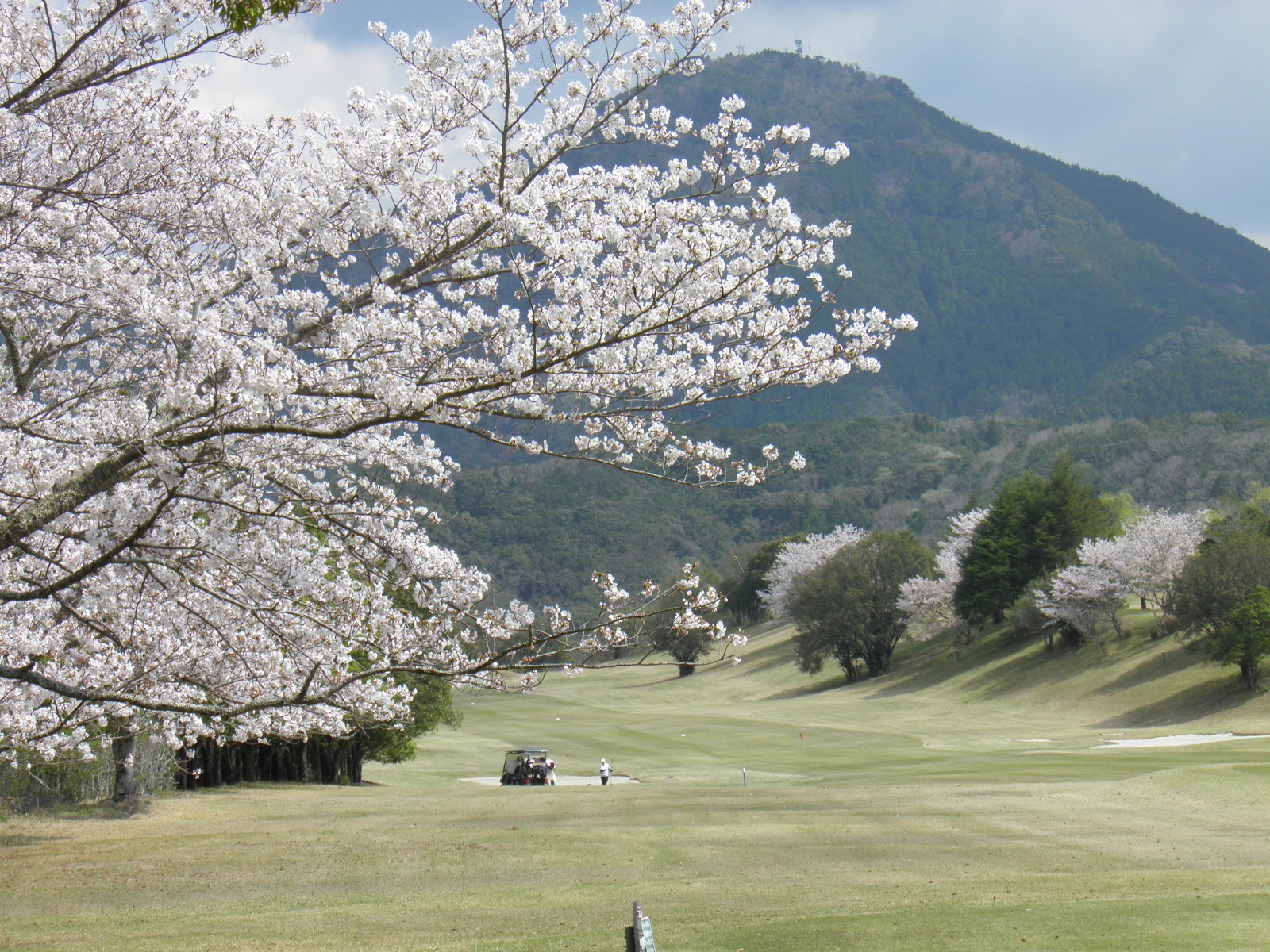 Leograd Golf Club - 3