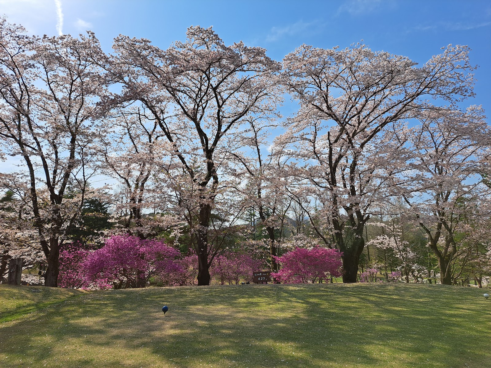 Tokyo Itsukaichi Country Club - 6