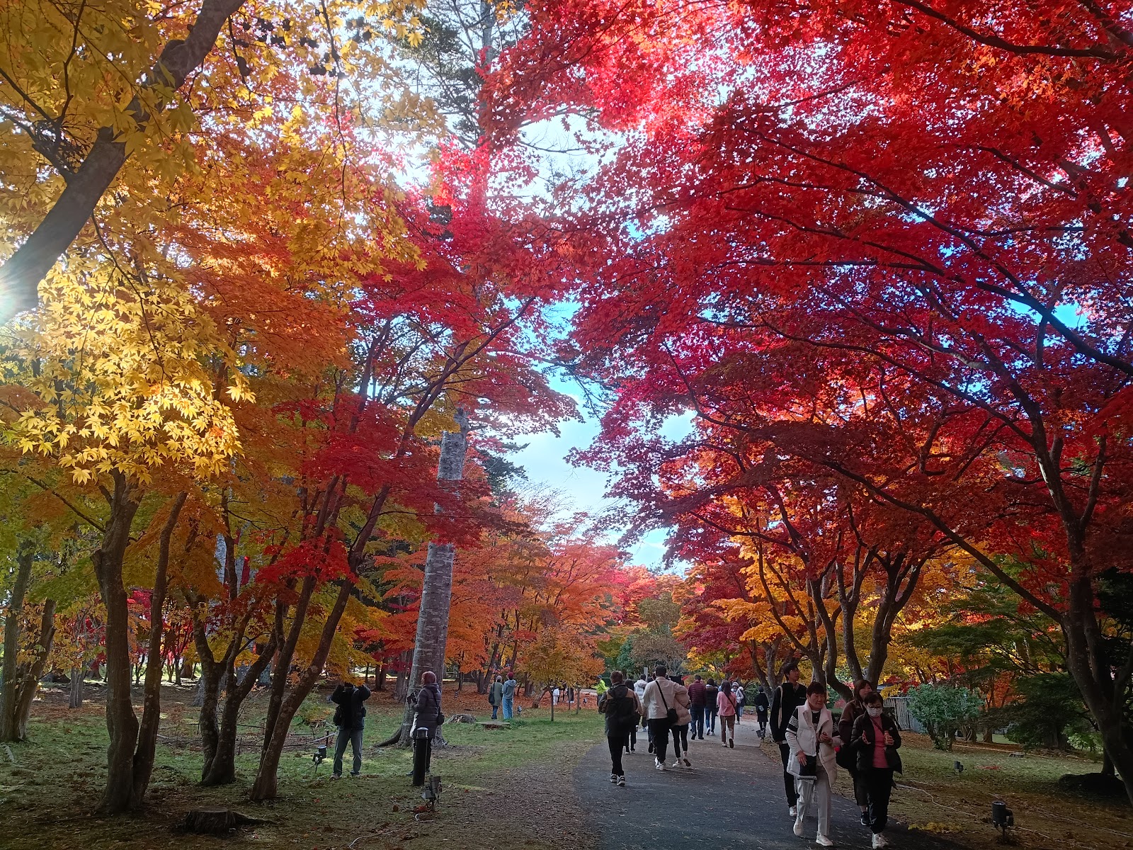 Hakodate Golf Club - 3