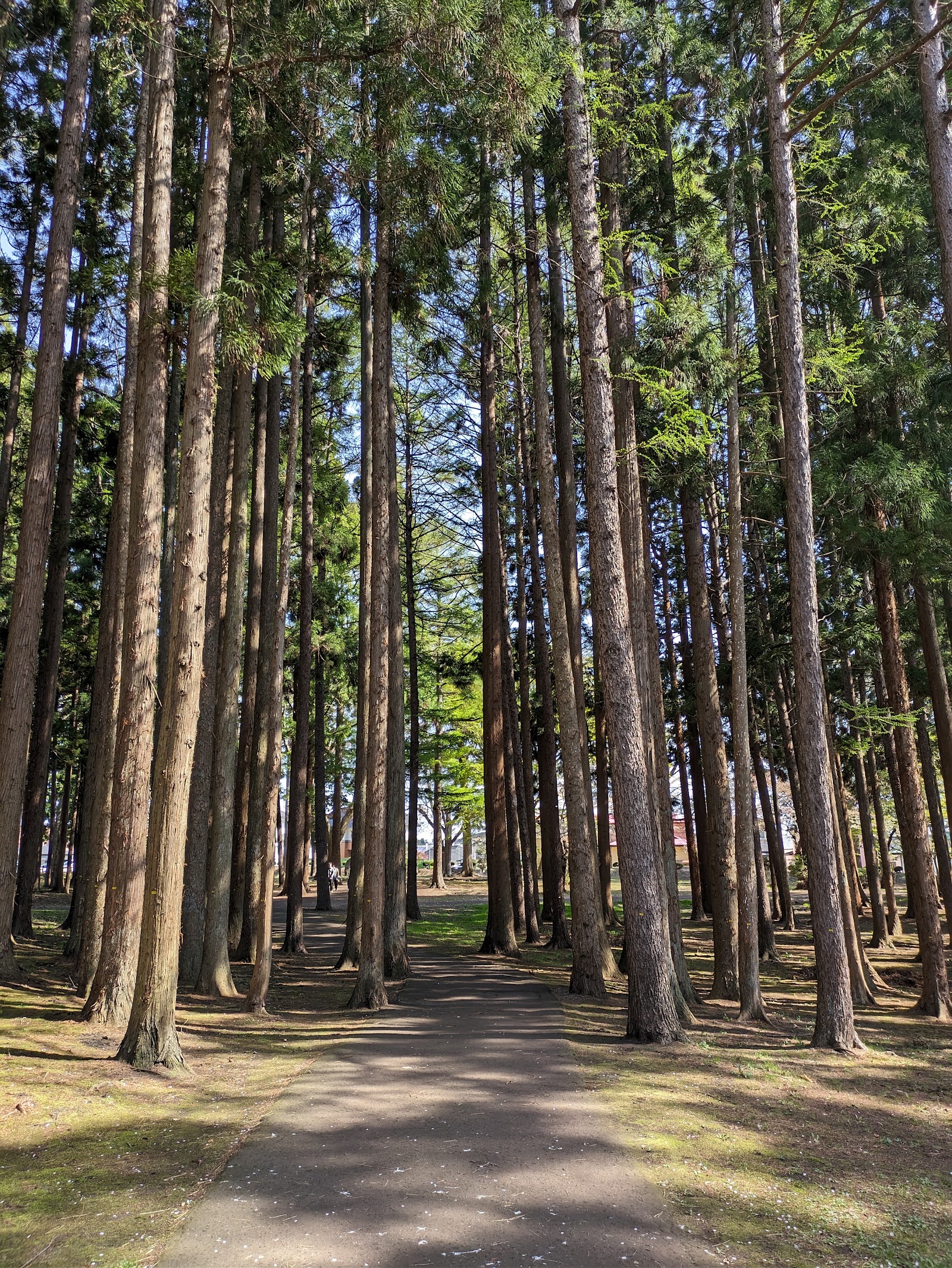 Hakodate Golf Club - 4