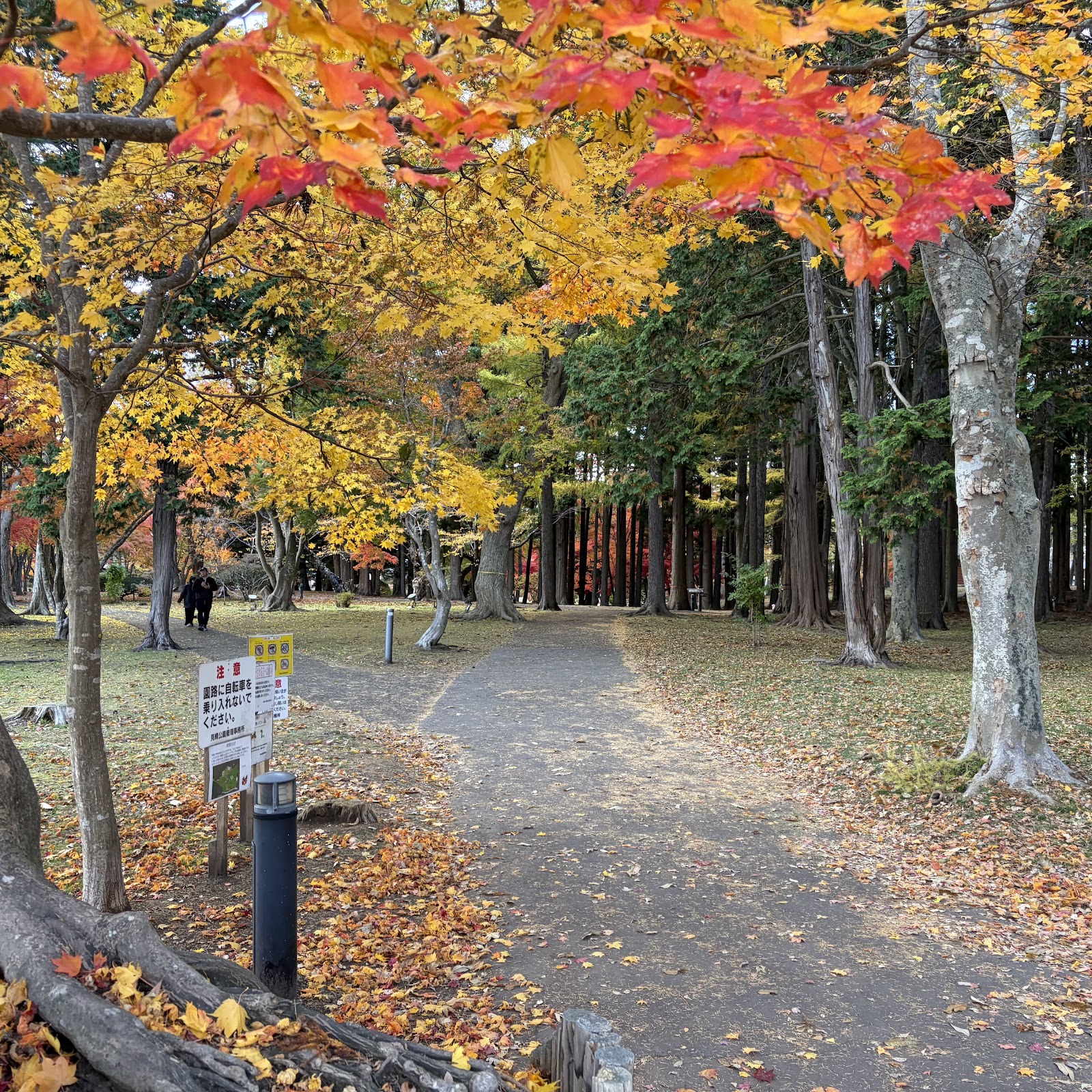 Hakodate Golf Club - 6