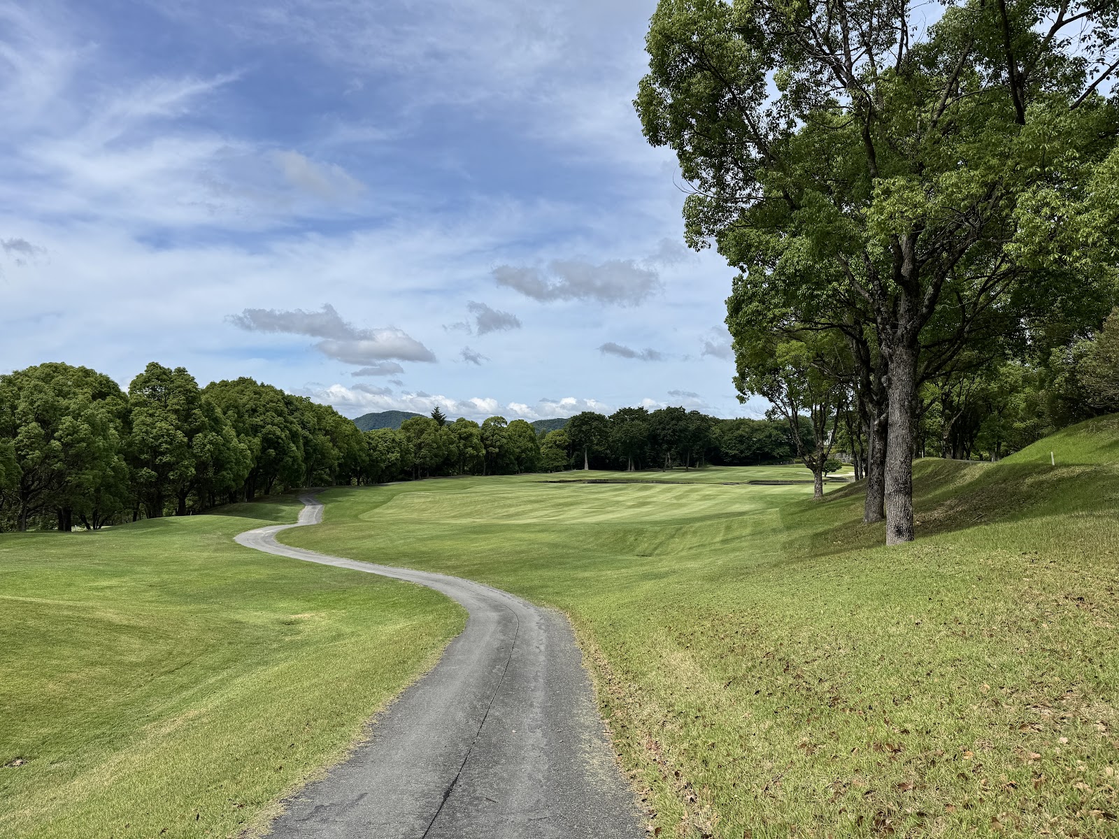 Art Lake Golf Club