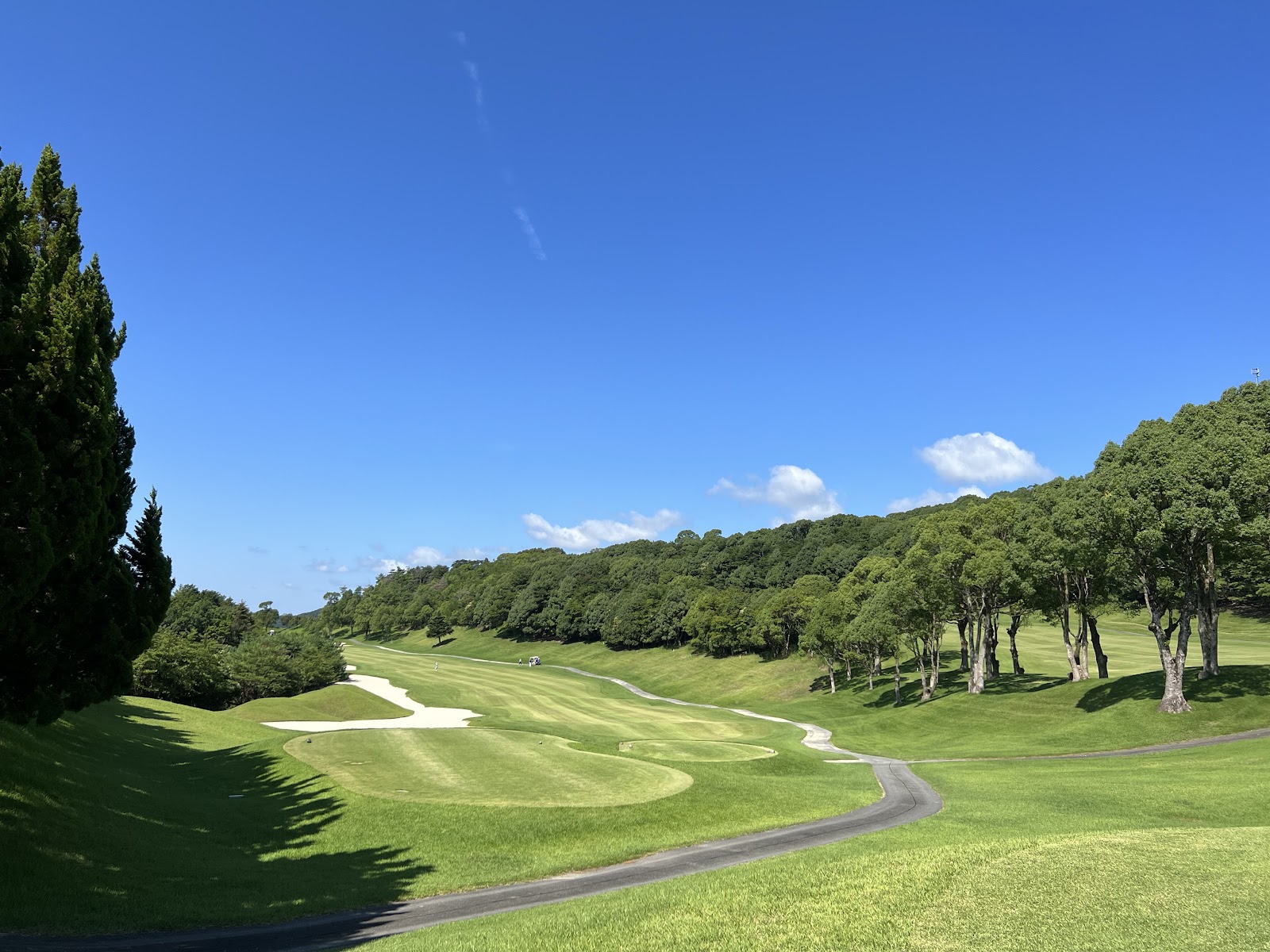 Art Lake Golf Club - 2