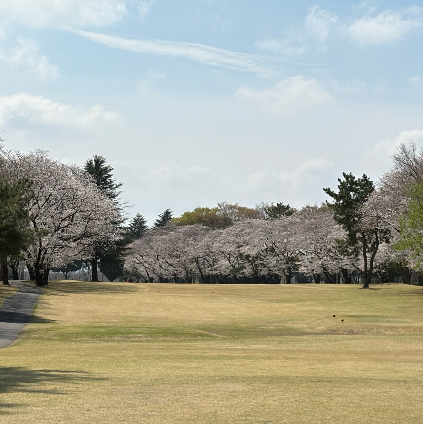 Tamamura Golf Course - 3