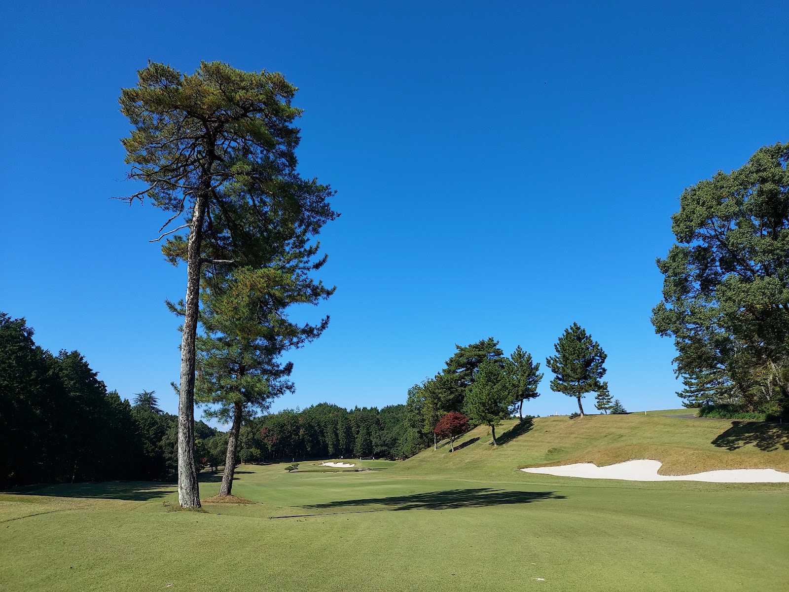 Gifu Seki Country Club - 2