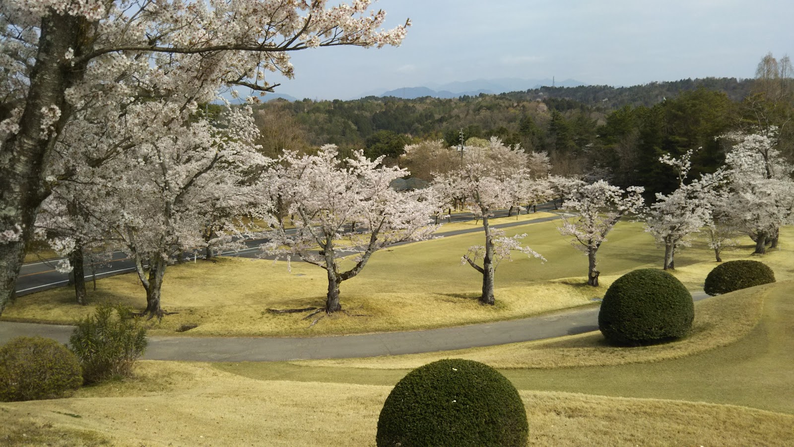 Gifu Seki Country Club - 4