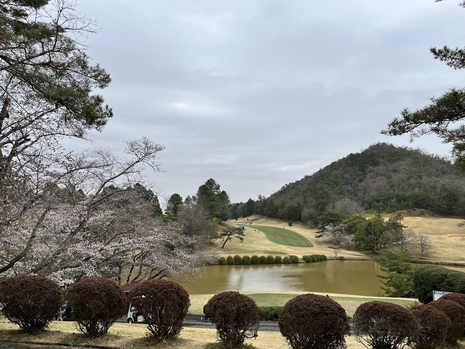 Kasai Inter Country Club - 5