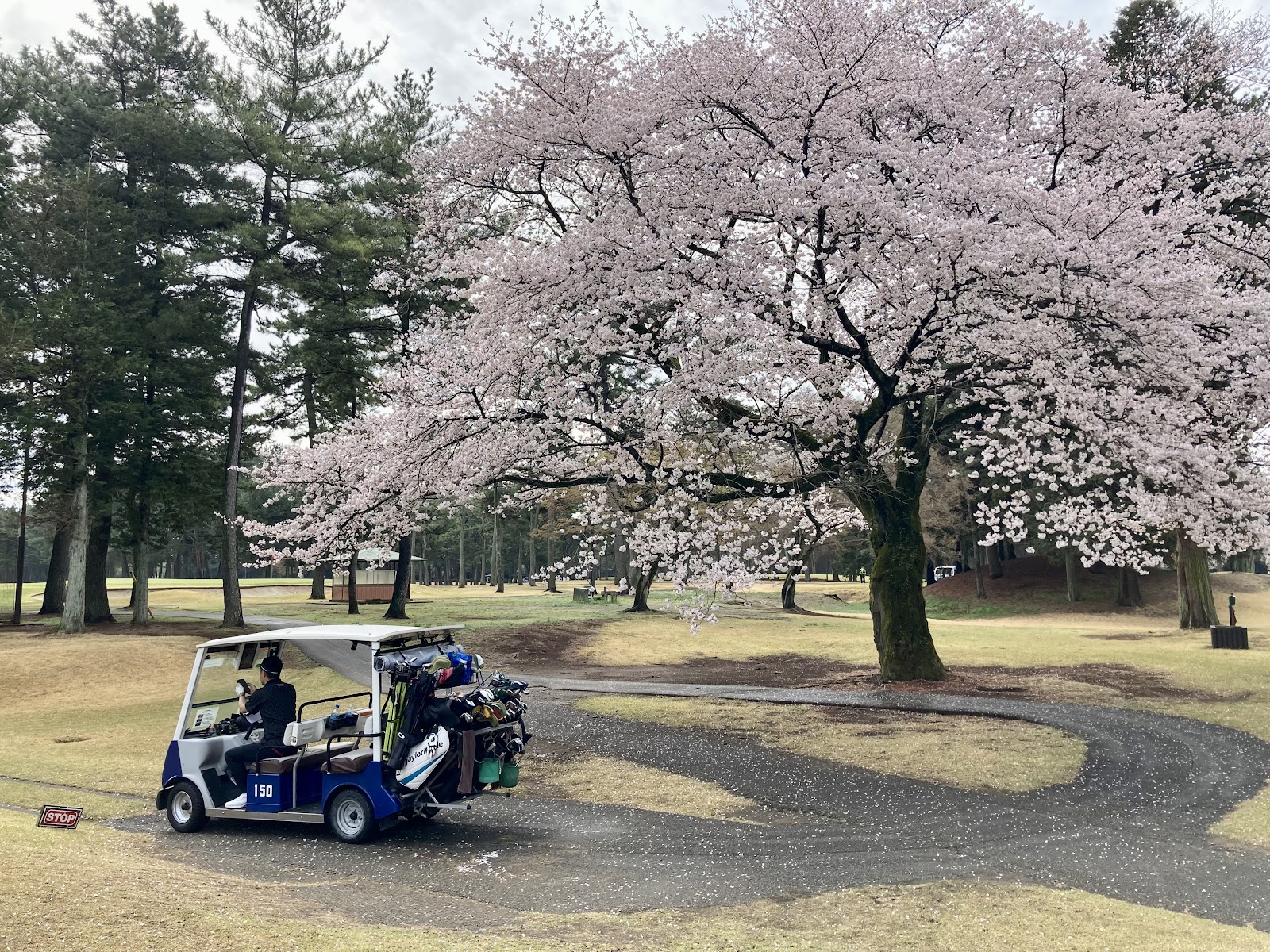 Murasaki Country Club Ayame Course - 6