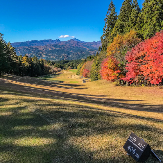 Haruna Forest Country Club - 5