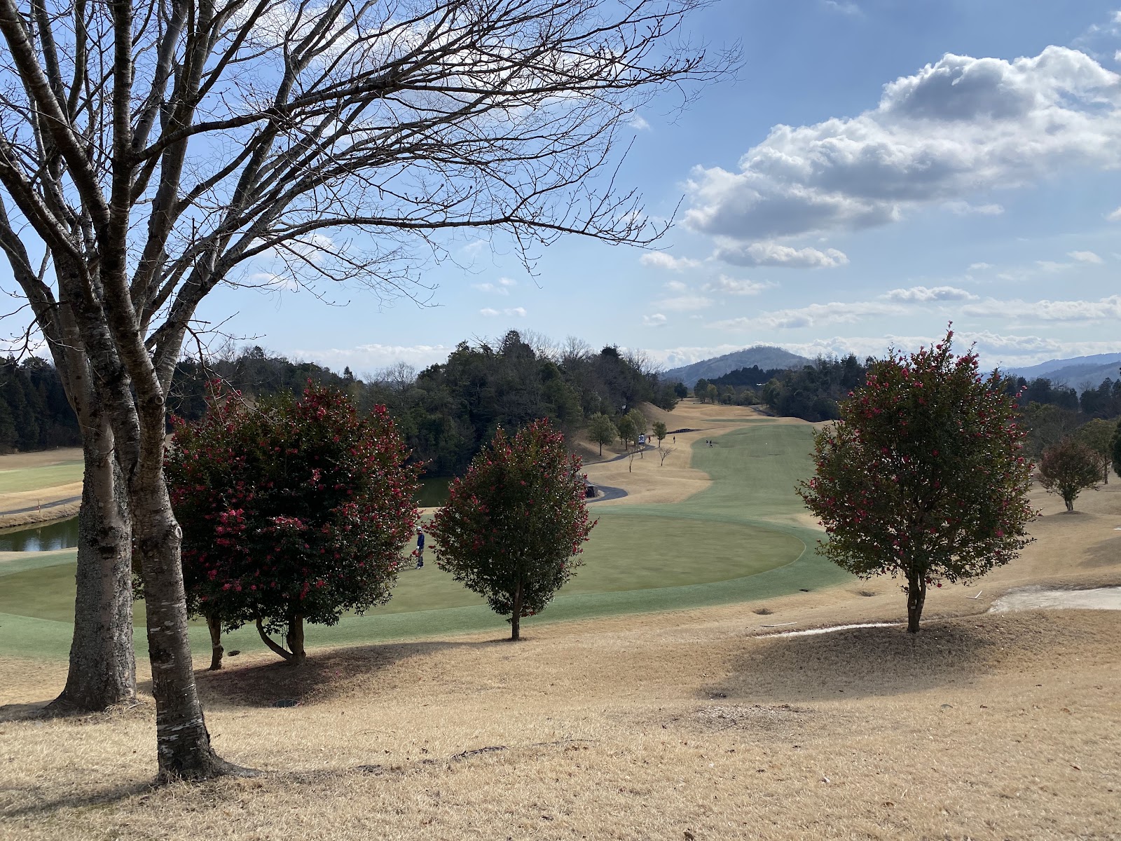 Zuien Country Club Canyon Ueno Course - 4